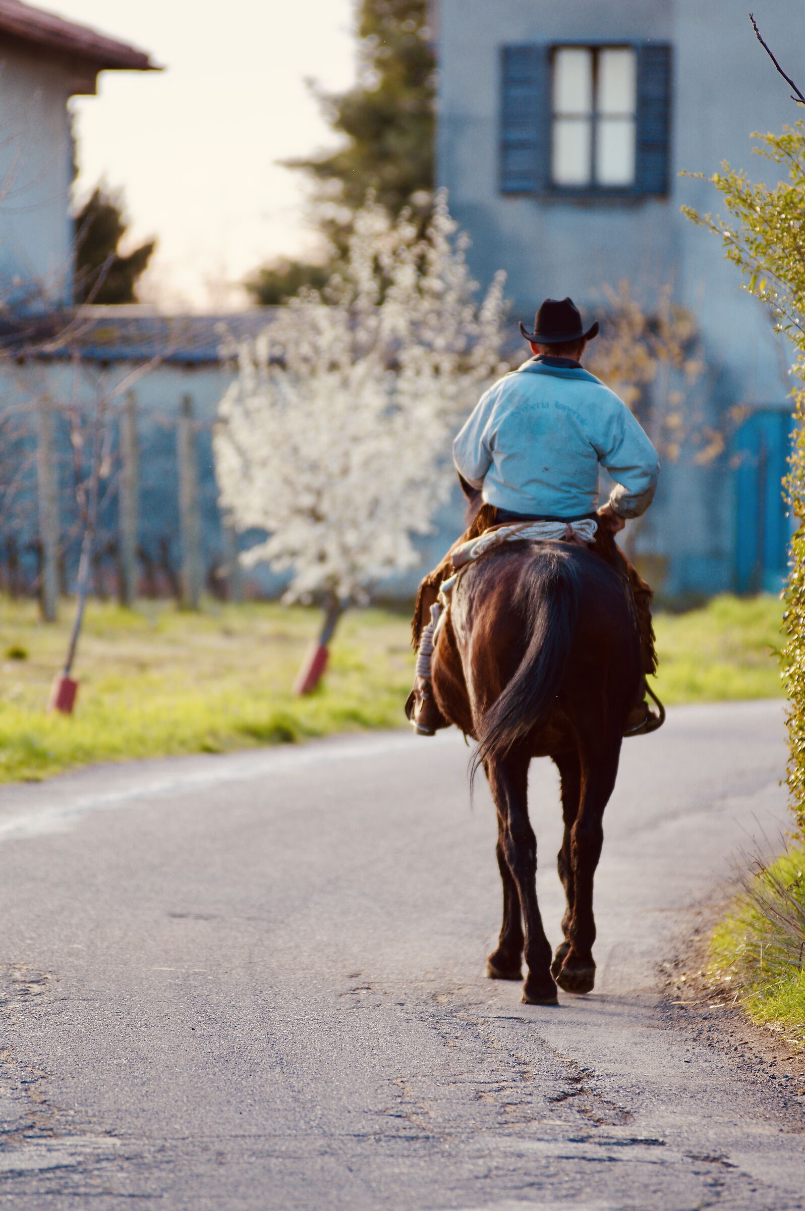 Horseback riding in San Colombano al Lambro