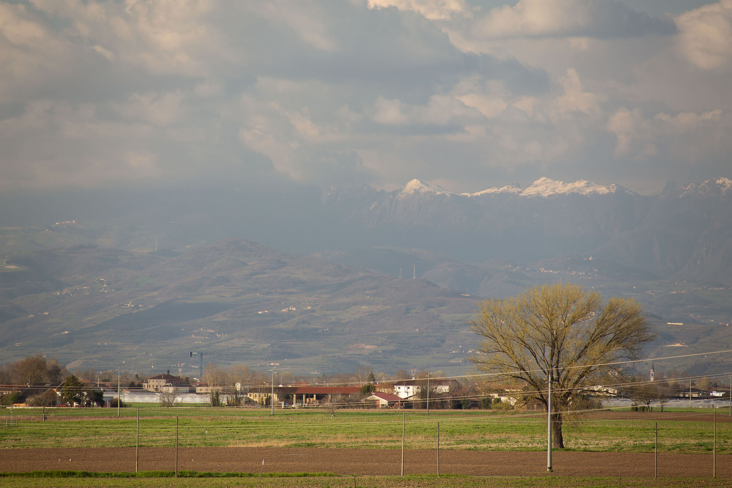 Trellises to below the peaks