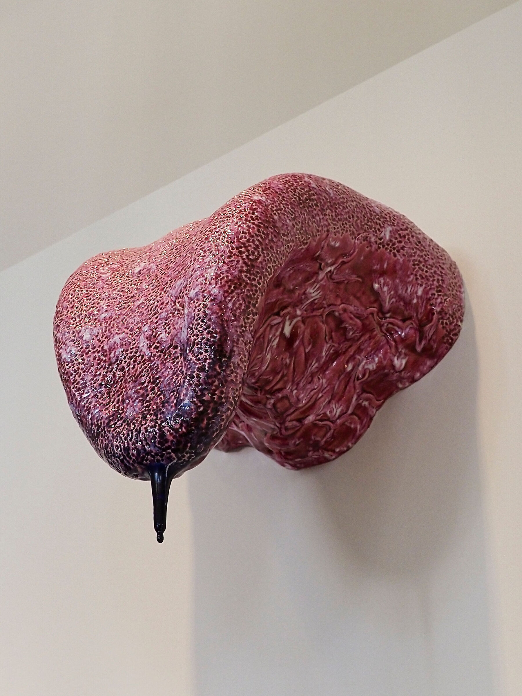 LIMOGES_2024 (_8121509-1)