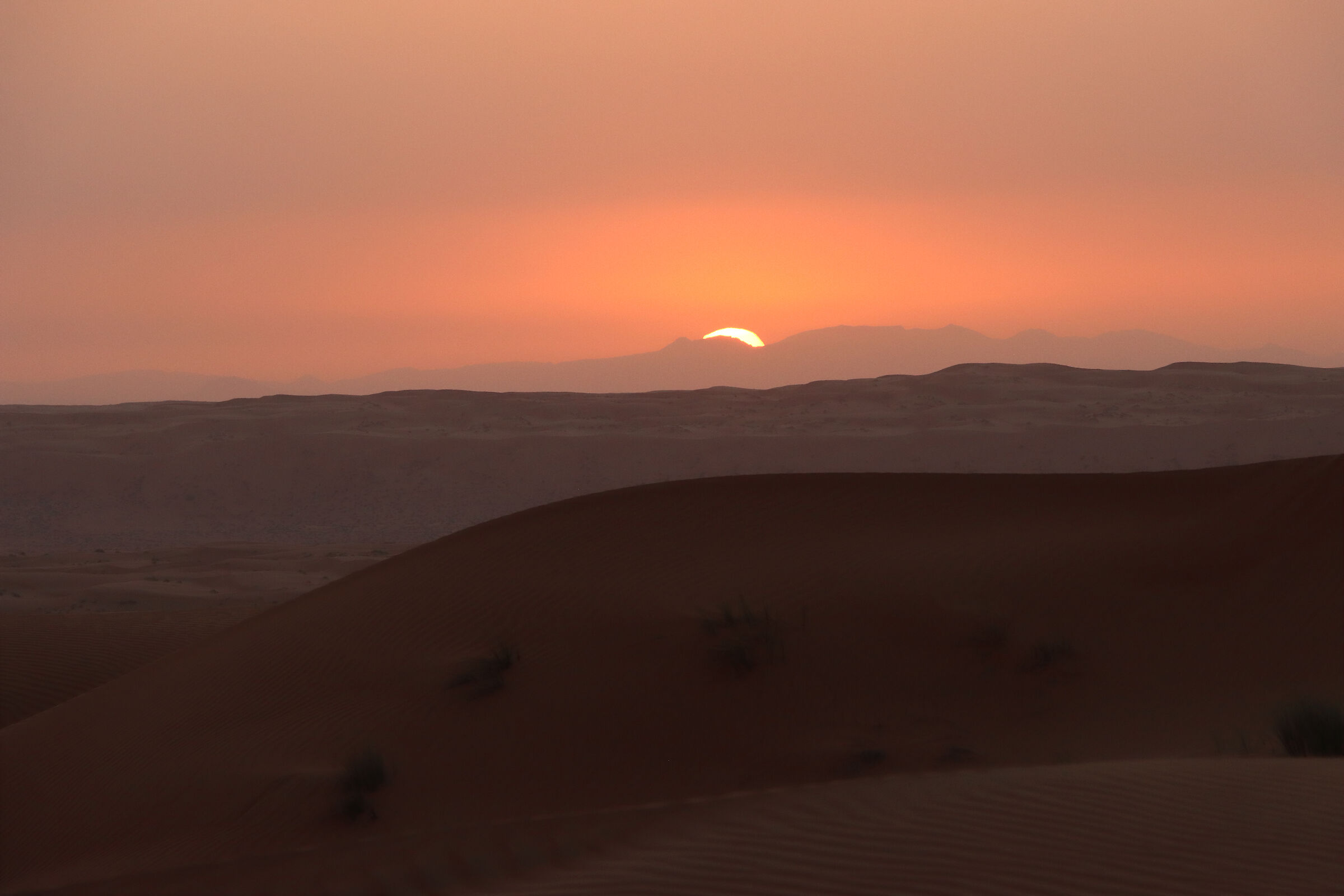 It's still daytime - life