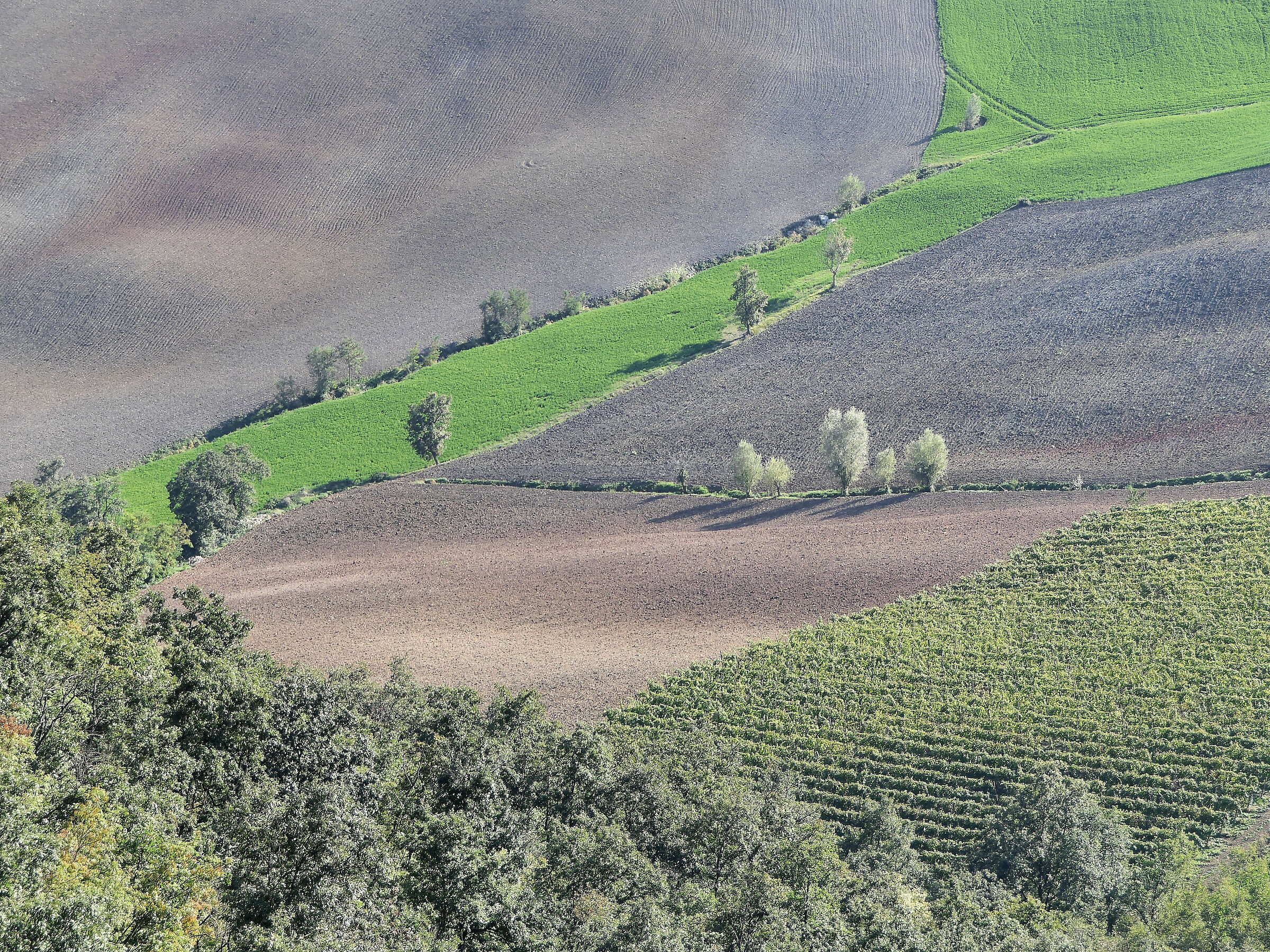 BOBBIO_2020 (_1130859-1)