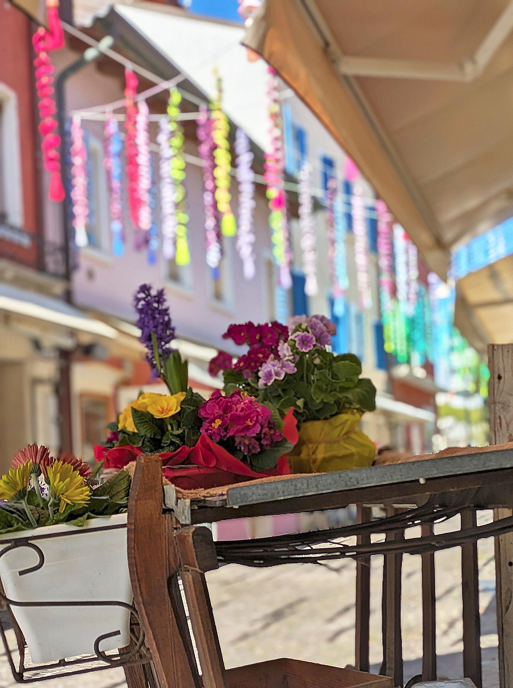 The colors of Caorle -VE-