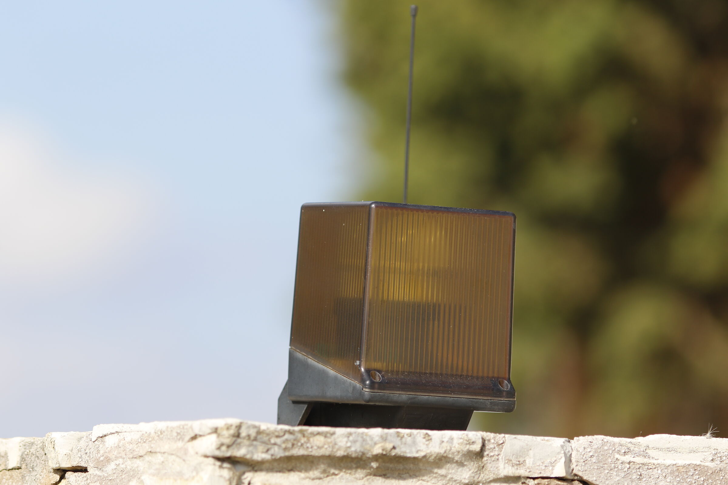 " Crop 300 " Canon 135 F. 2 L+ TC 1.4x III - 7 D I...
