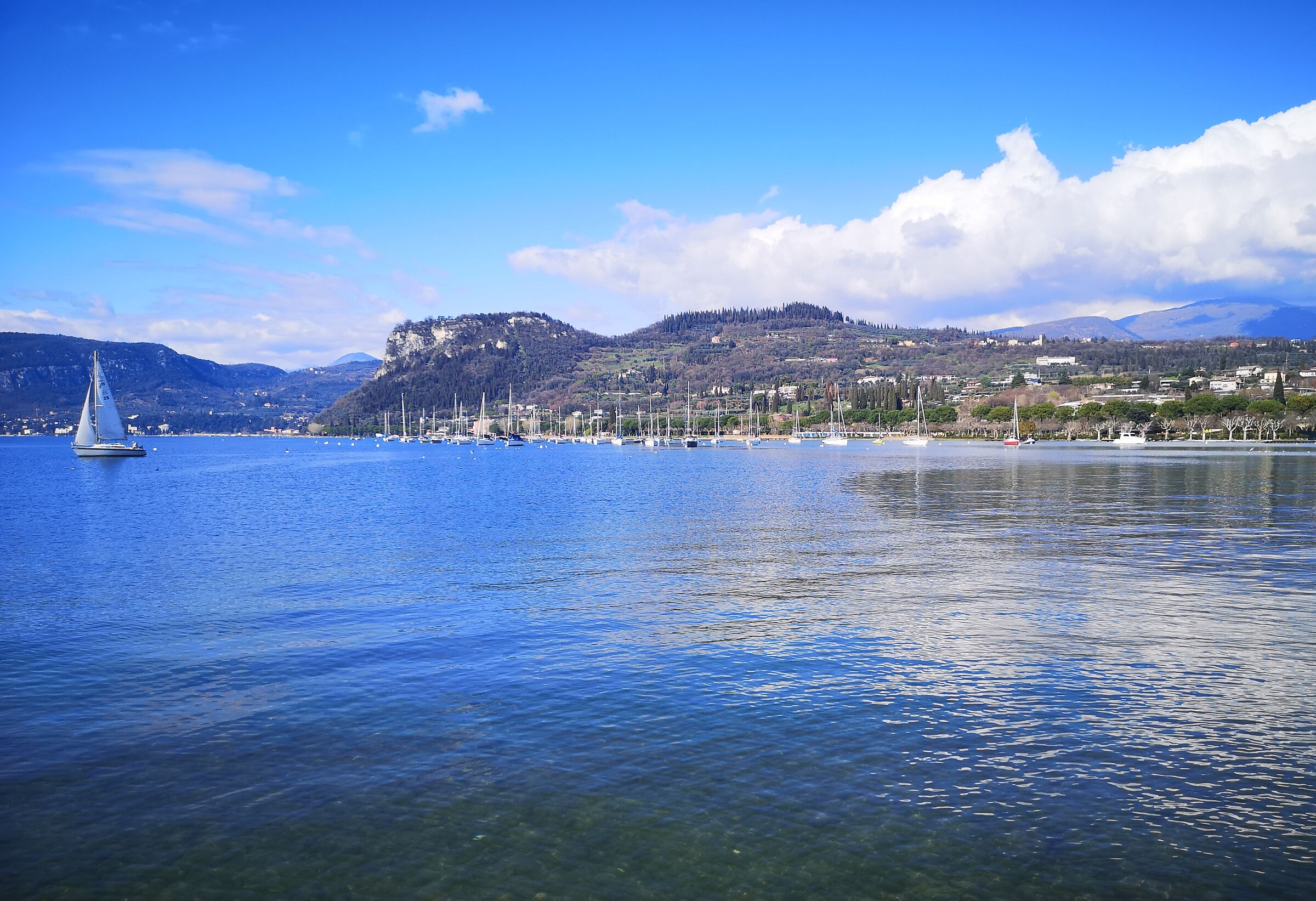 Bardolino