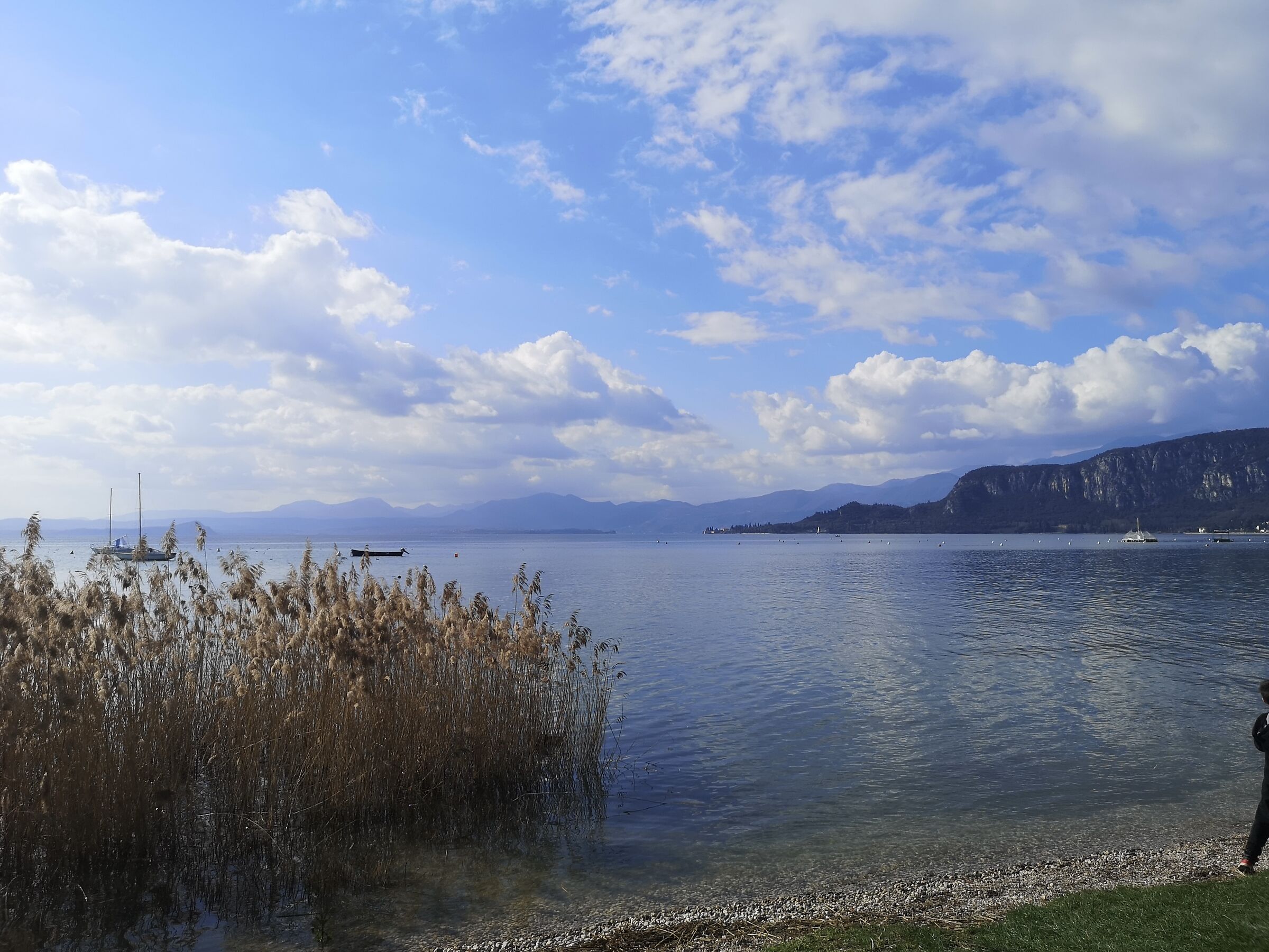 Bardolino