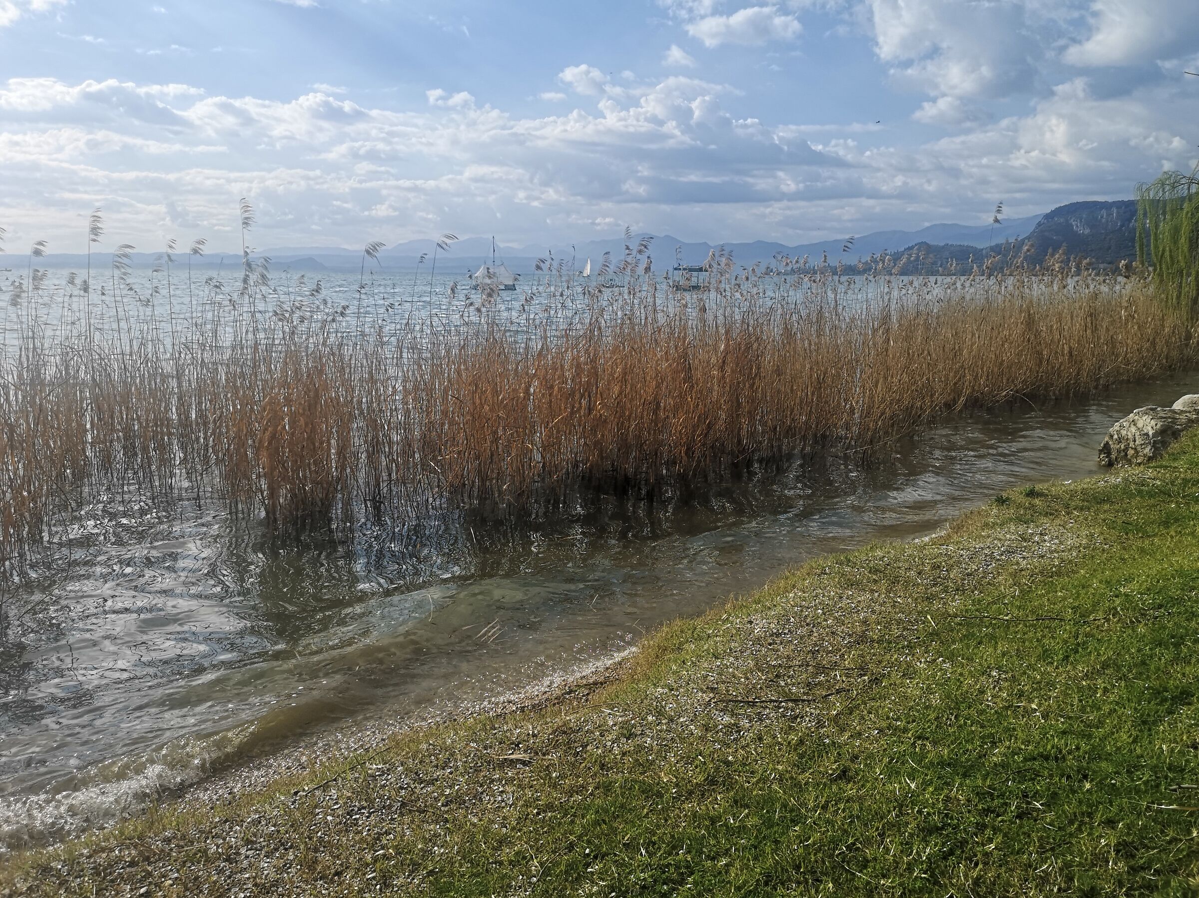 Bardolino