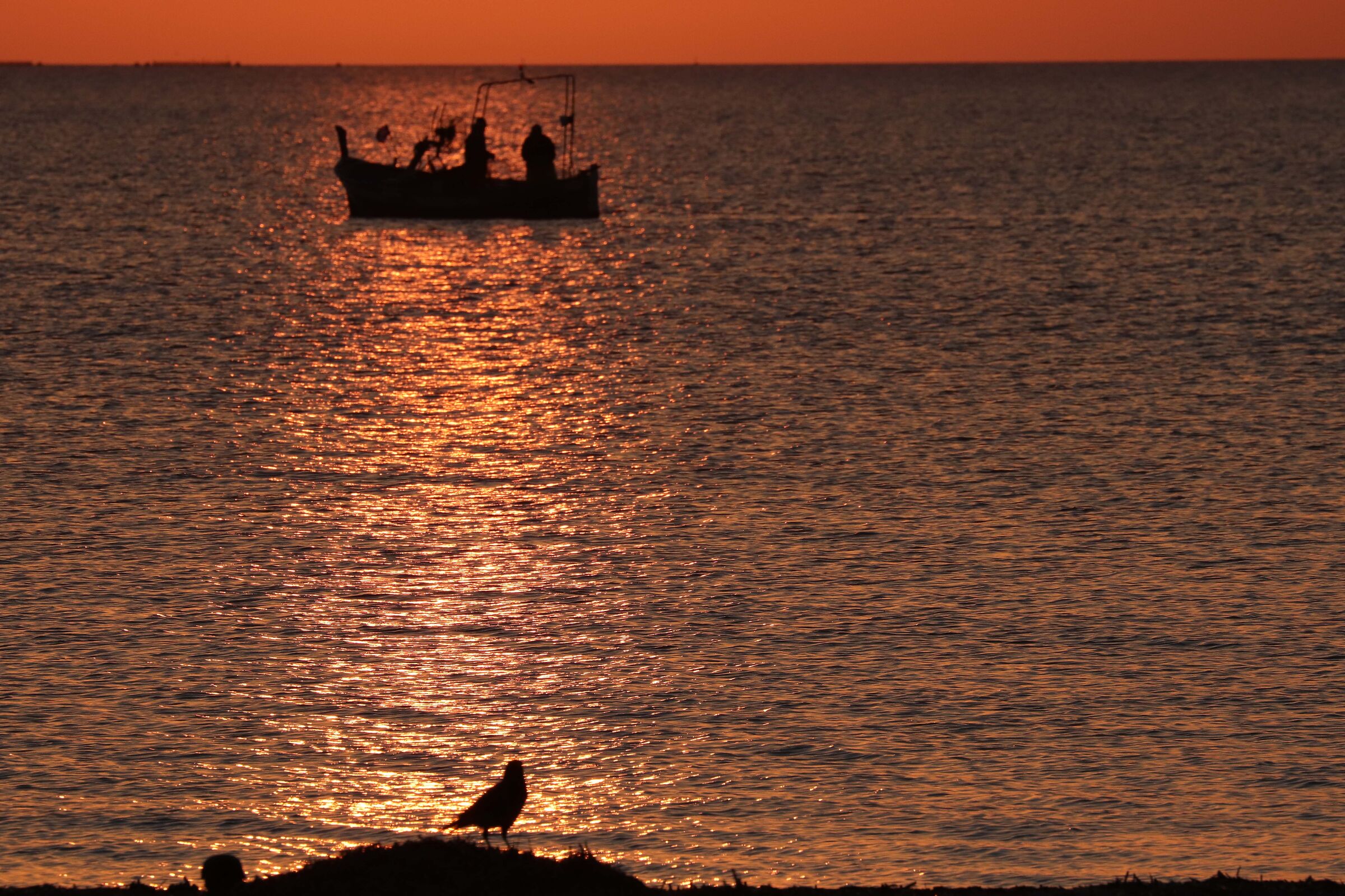 Alghero, at sunset.