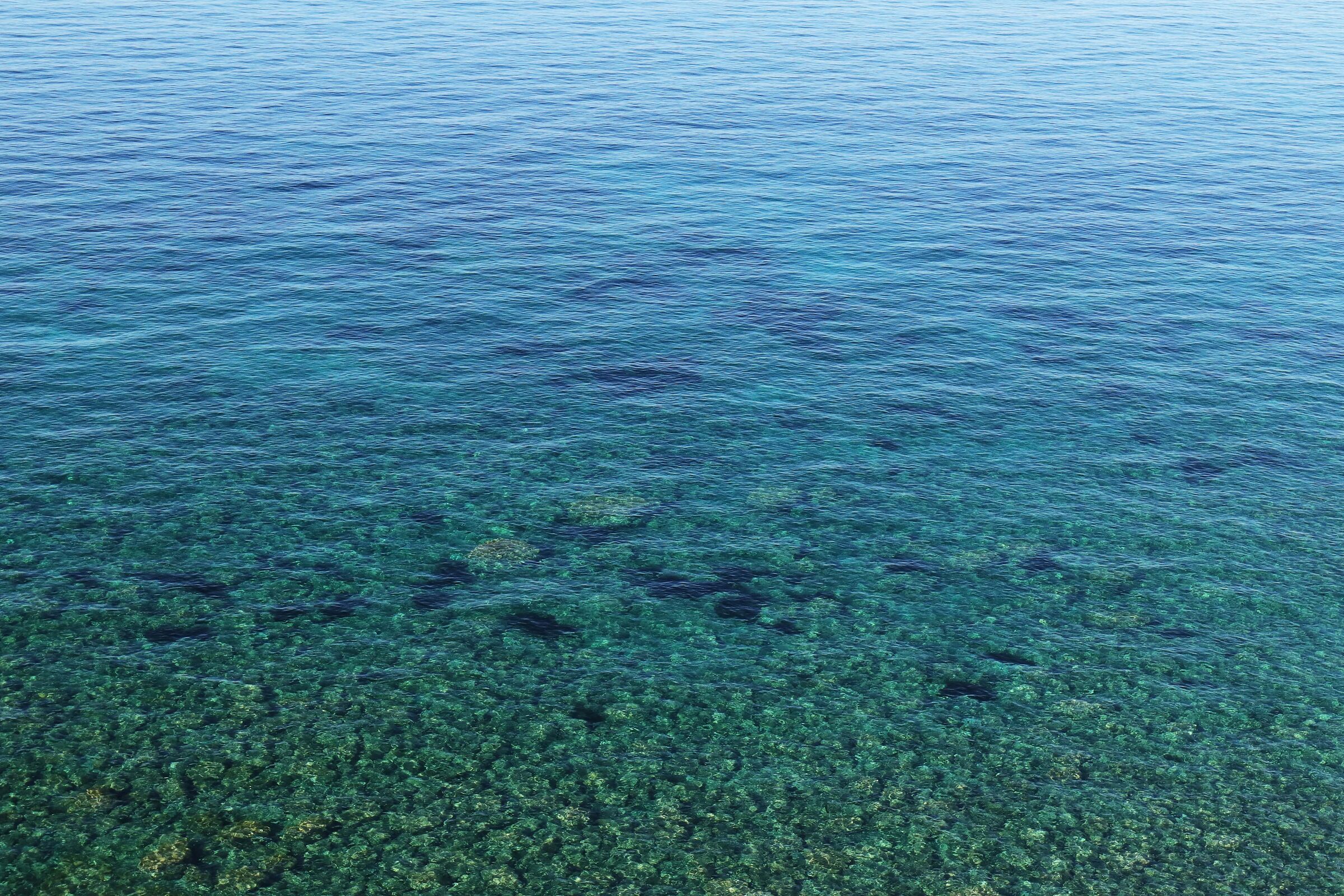 From the Alghero - Bosa road