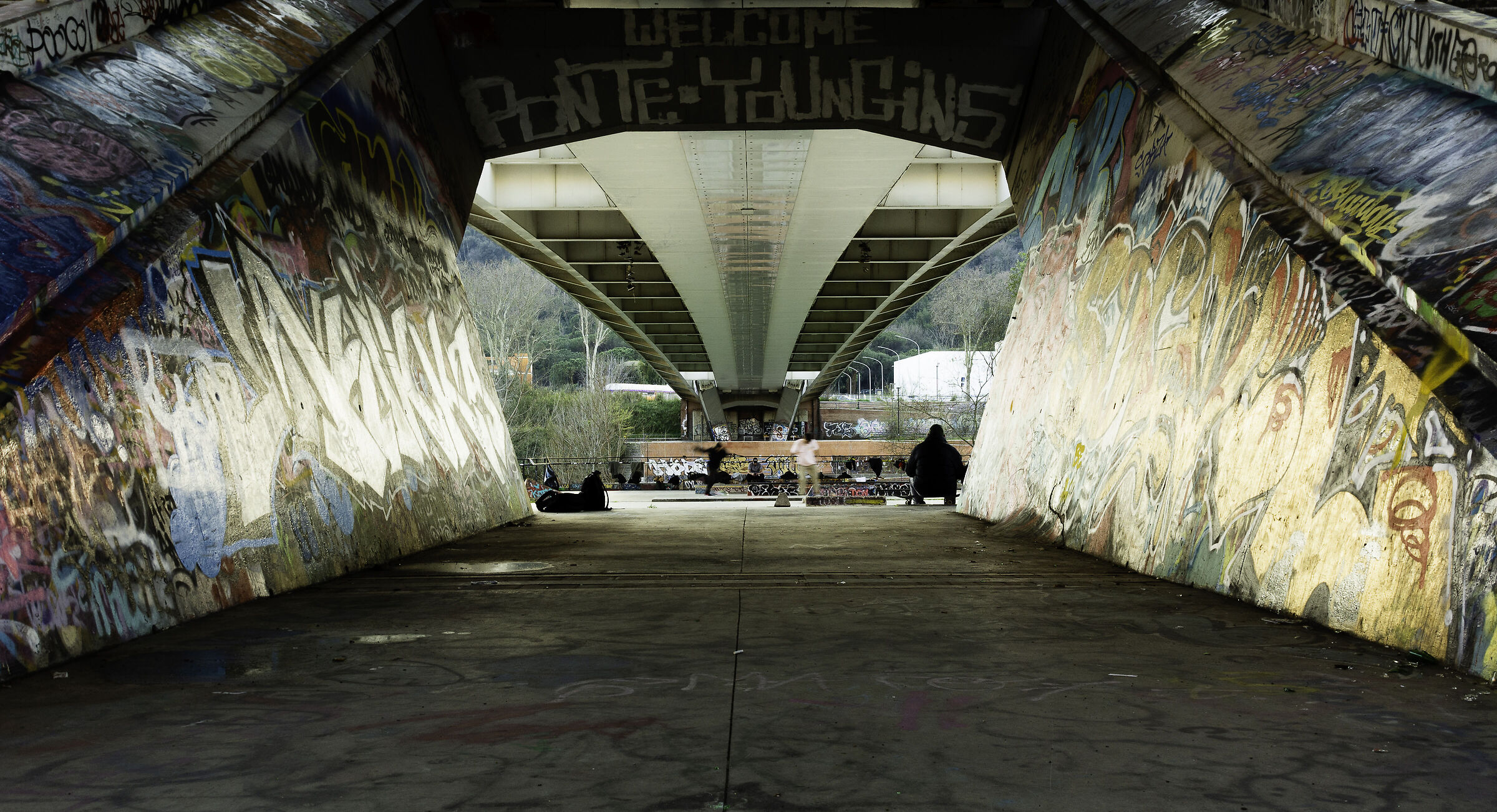 Skaters