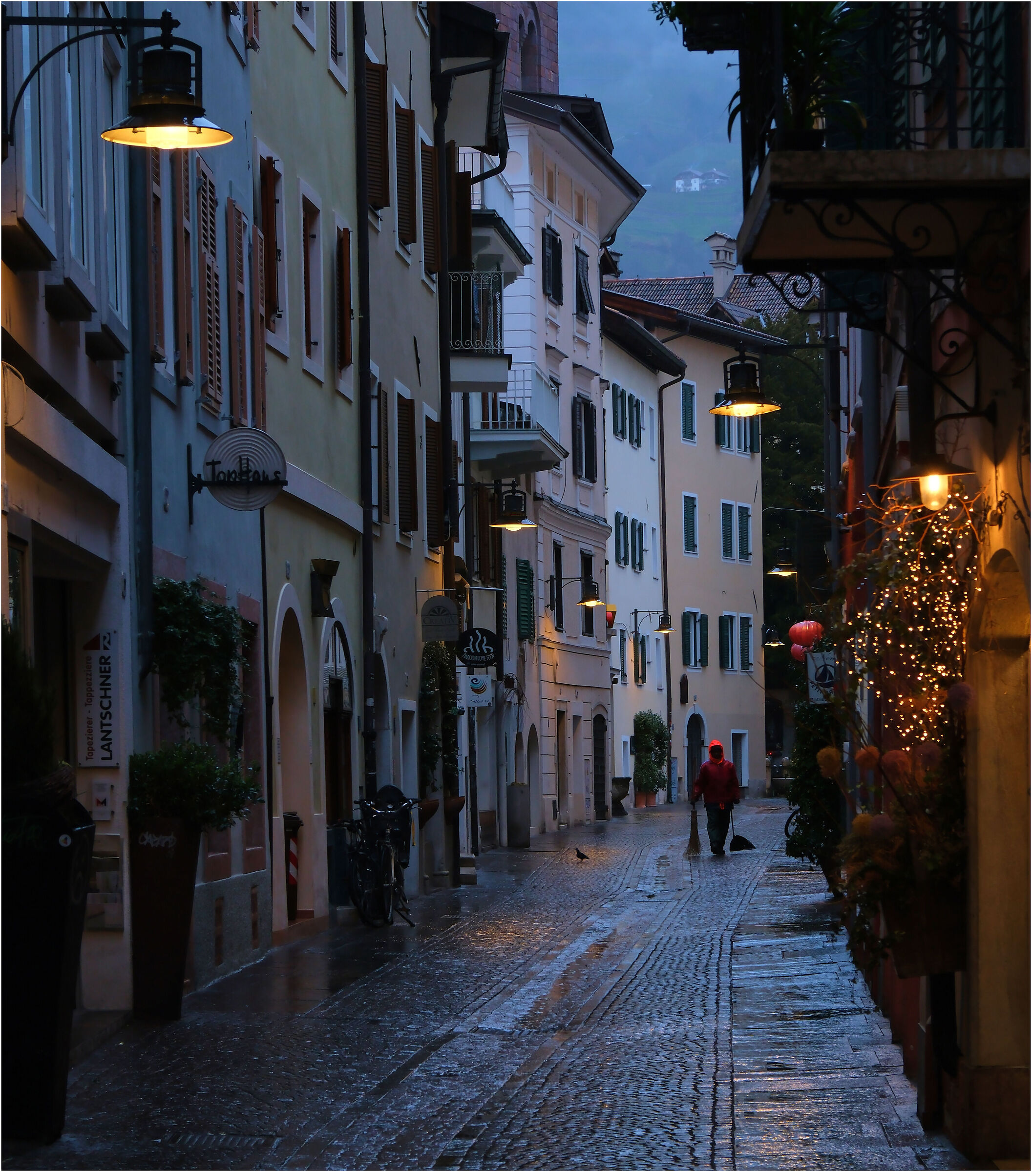 -Rain morning-