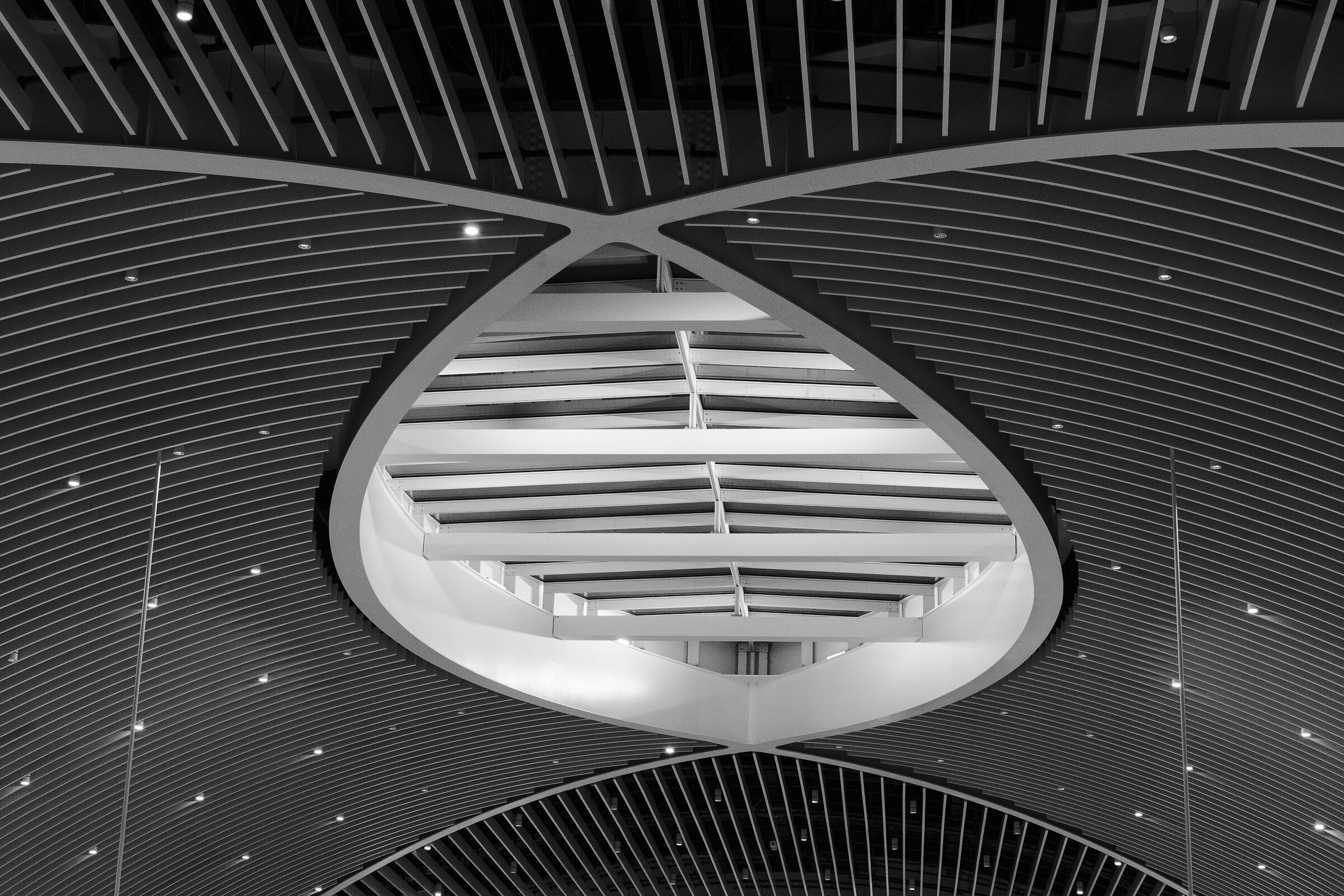 Fiumicino Ceiling