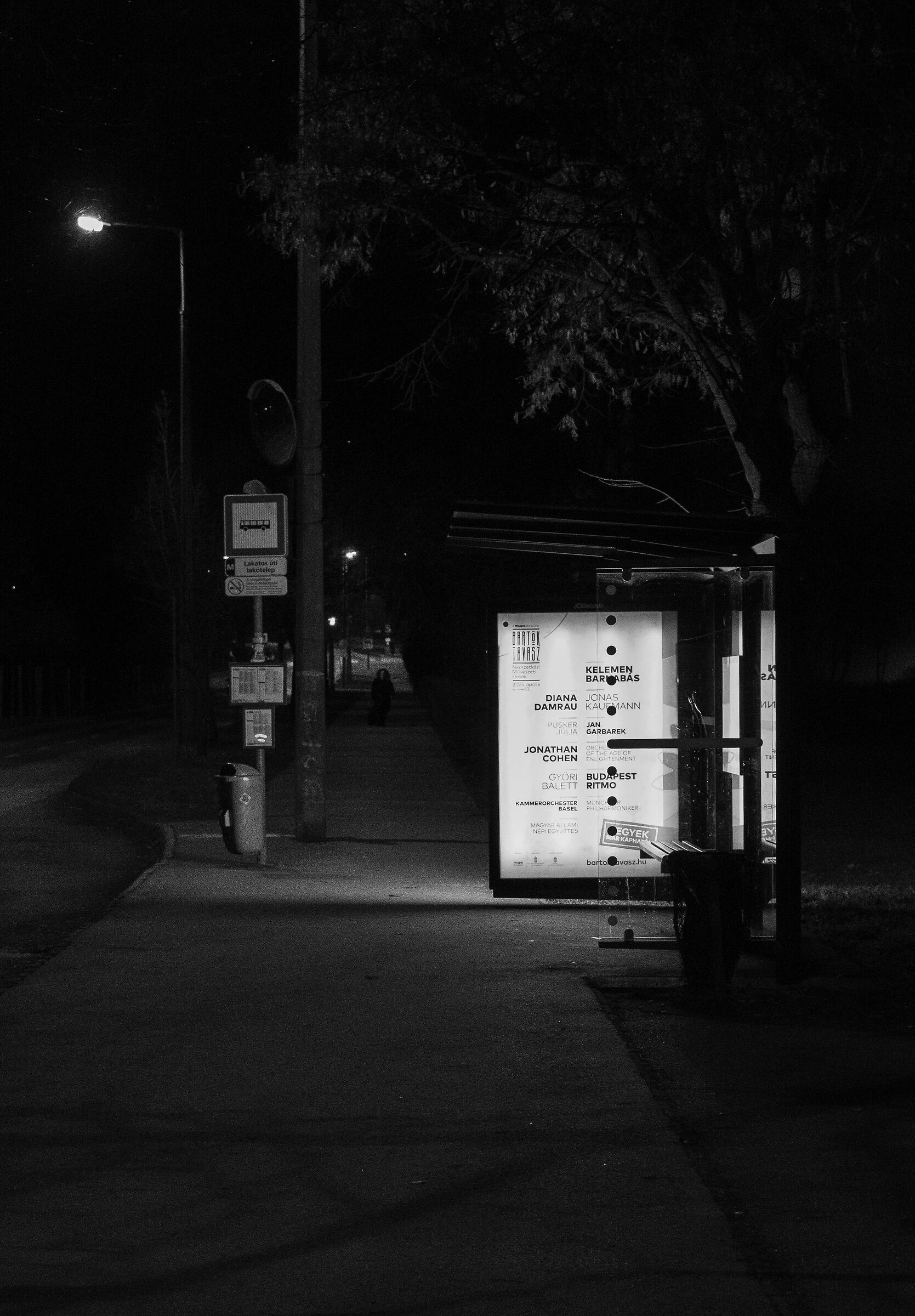 Night bus stop