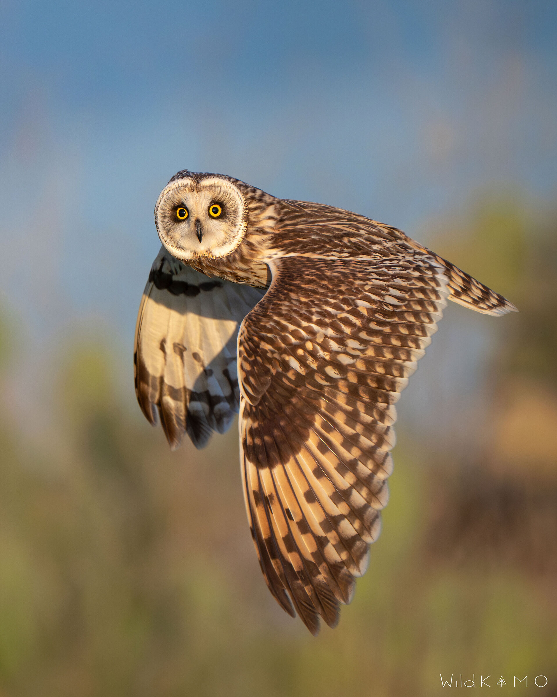 Uno sguardo magnetico che difficilmente rivedrò Cosi