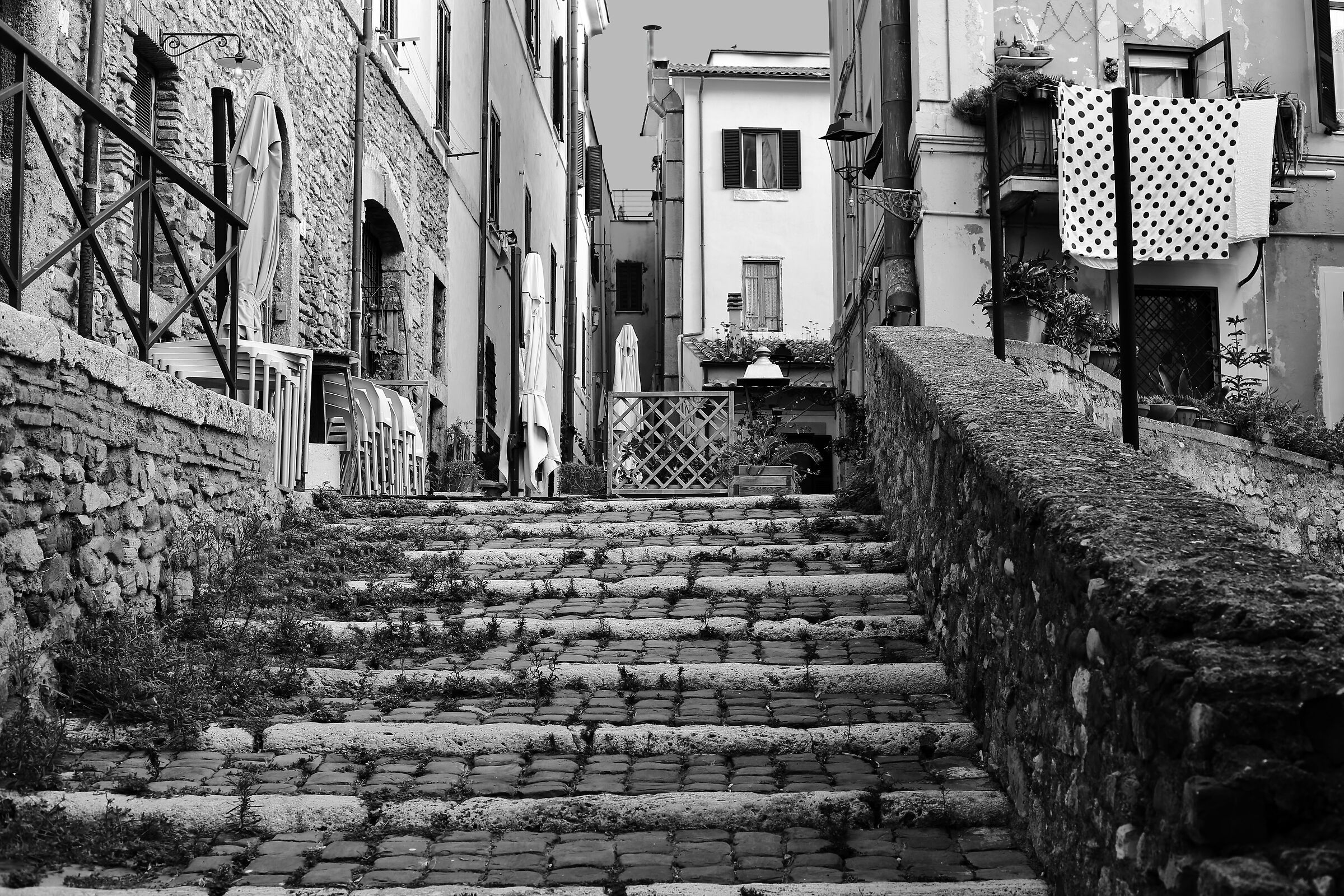 Among the alleys