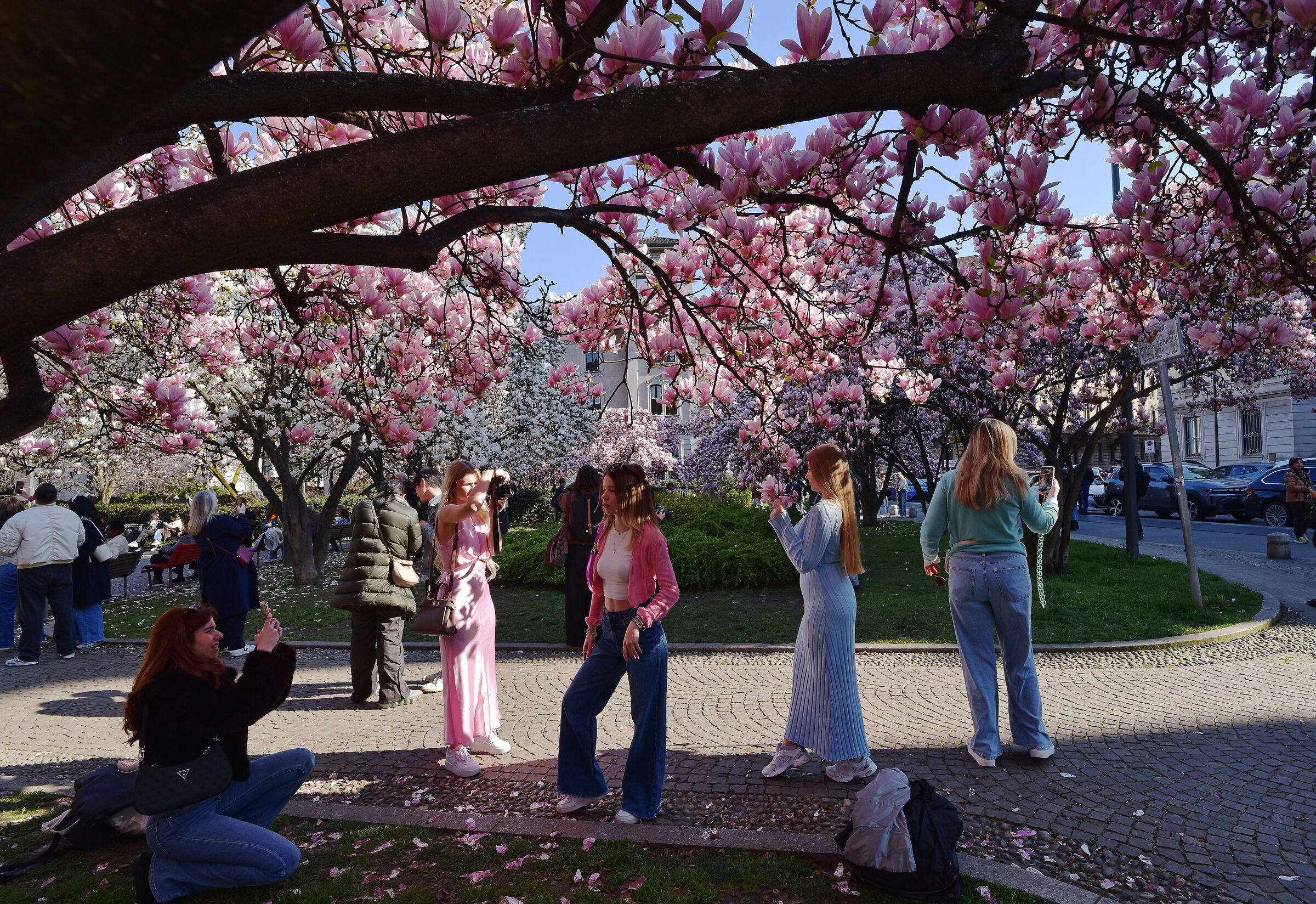 il set fotografico di primavera