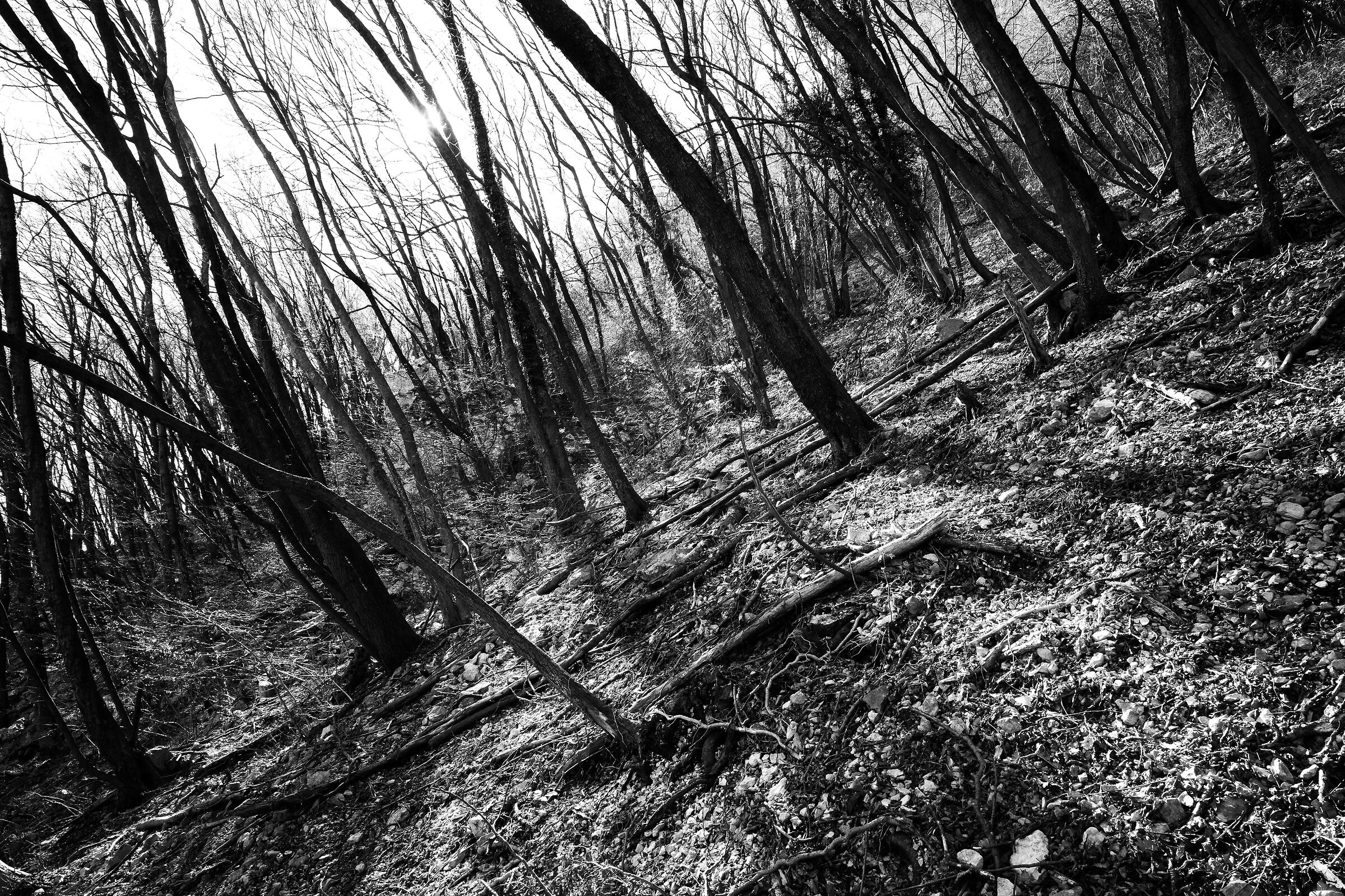 Untitled Photo