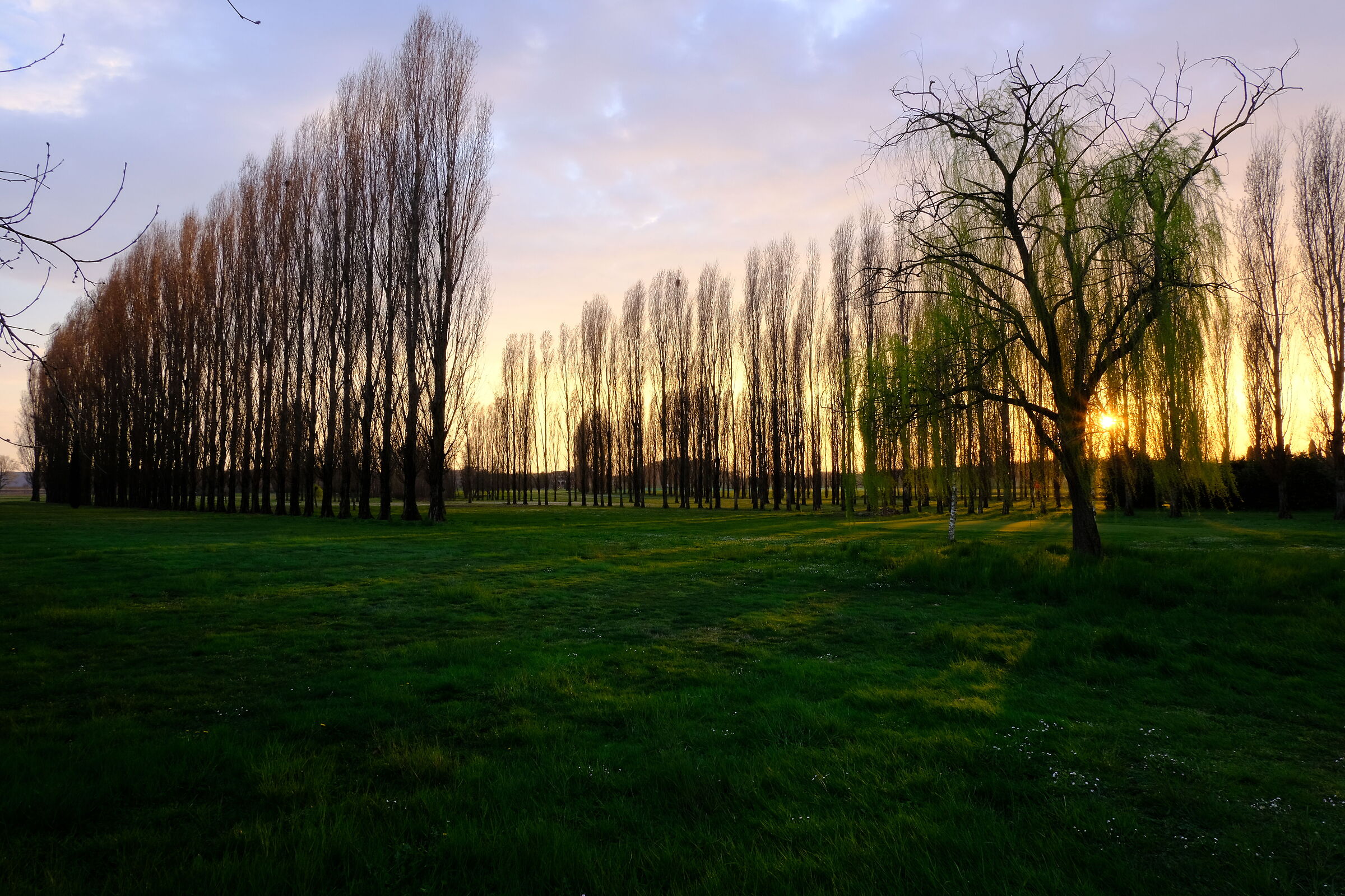 Untitled Photo