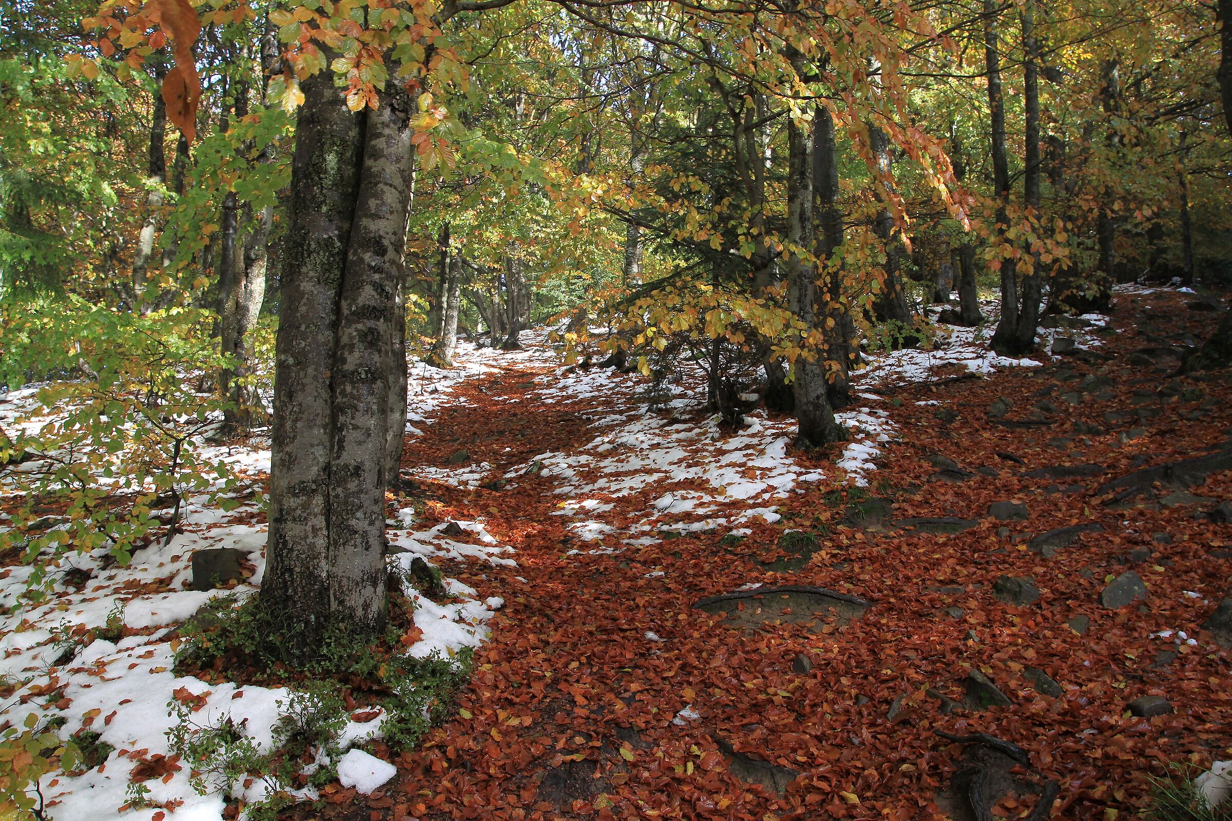 From my old resources (October 2016)