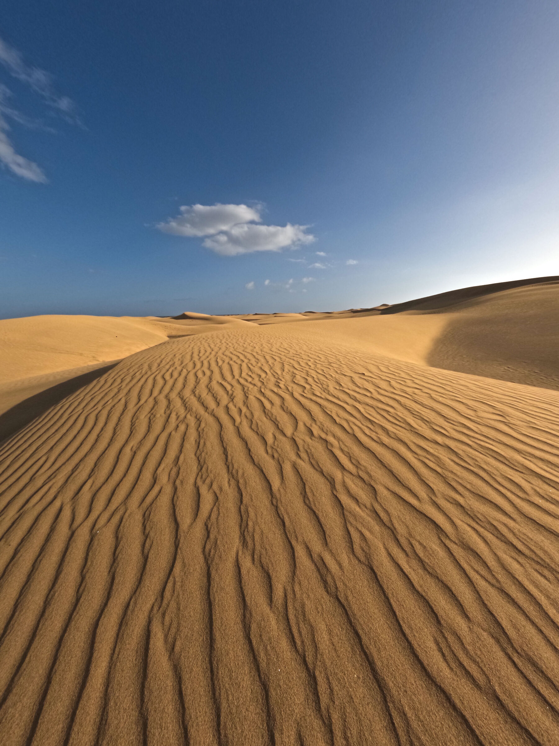 Las dunas de Maspalomas