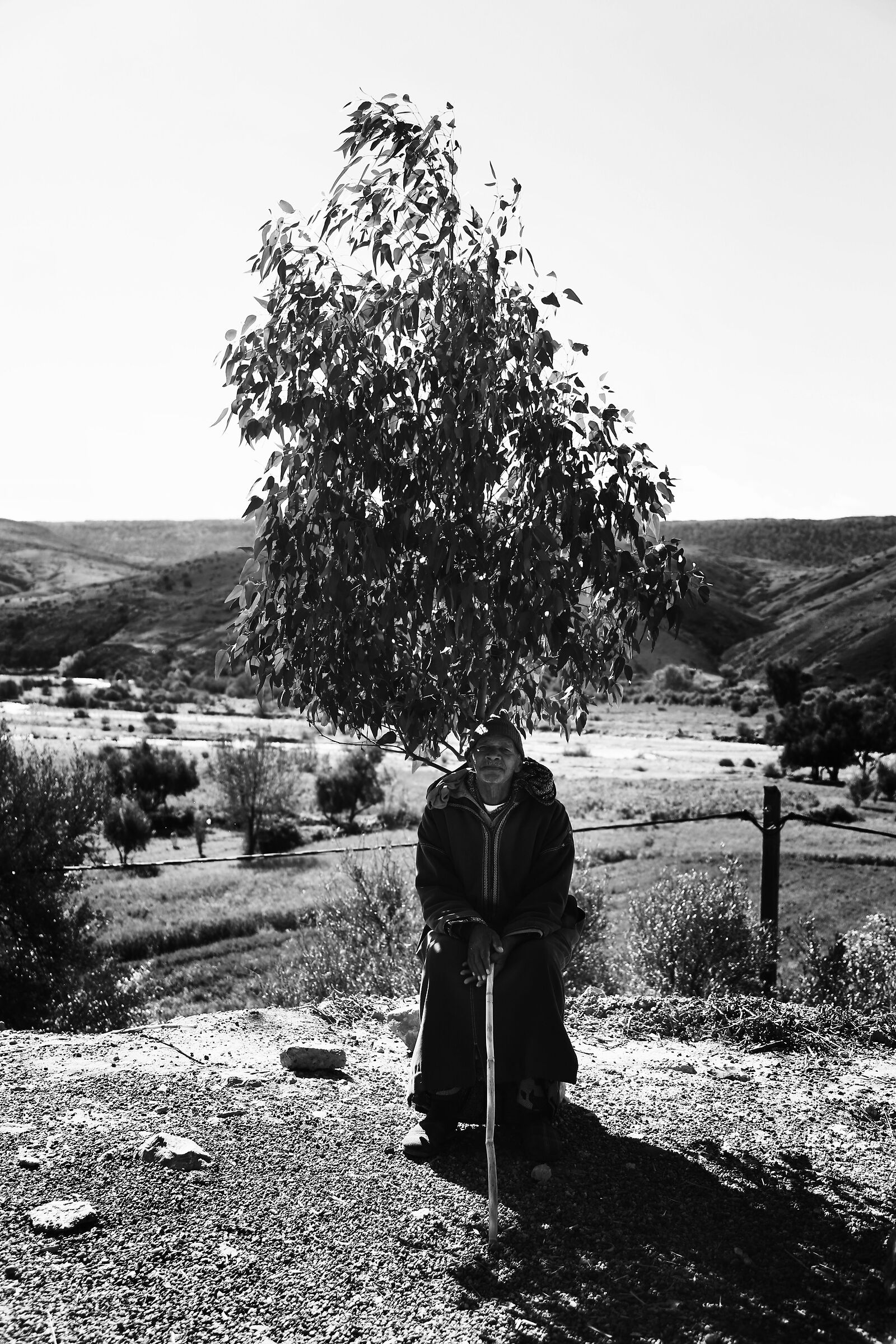 Untitled Photo