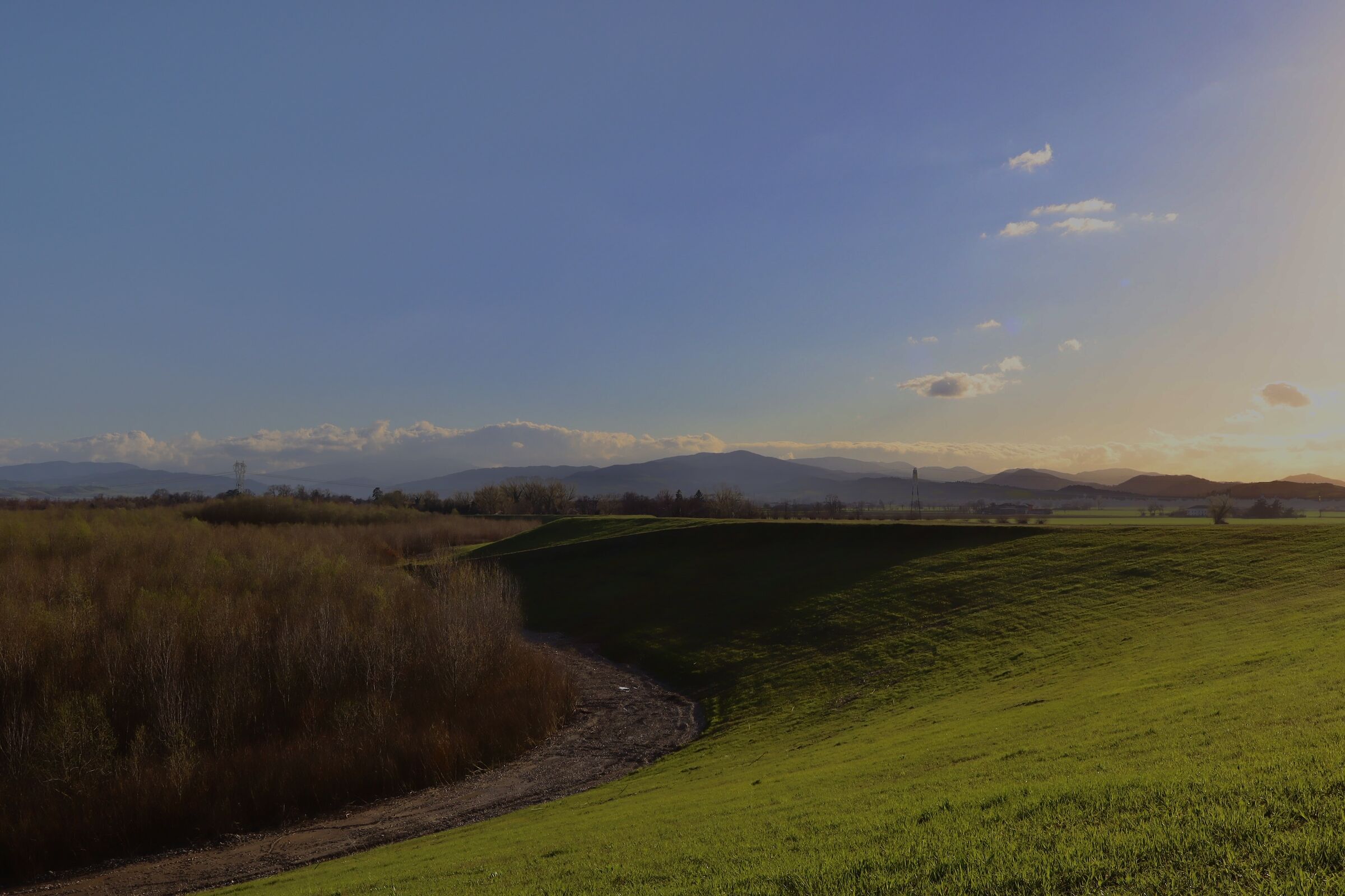 Del verde