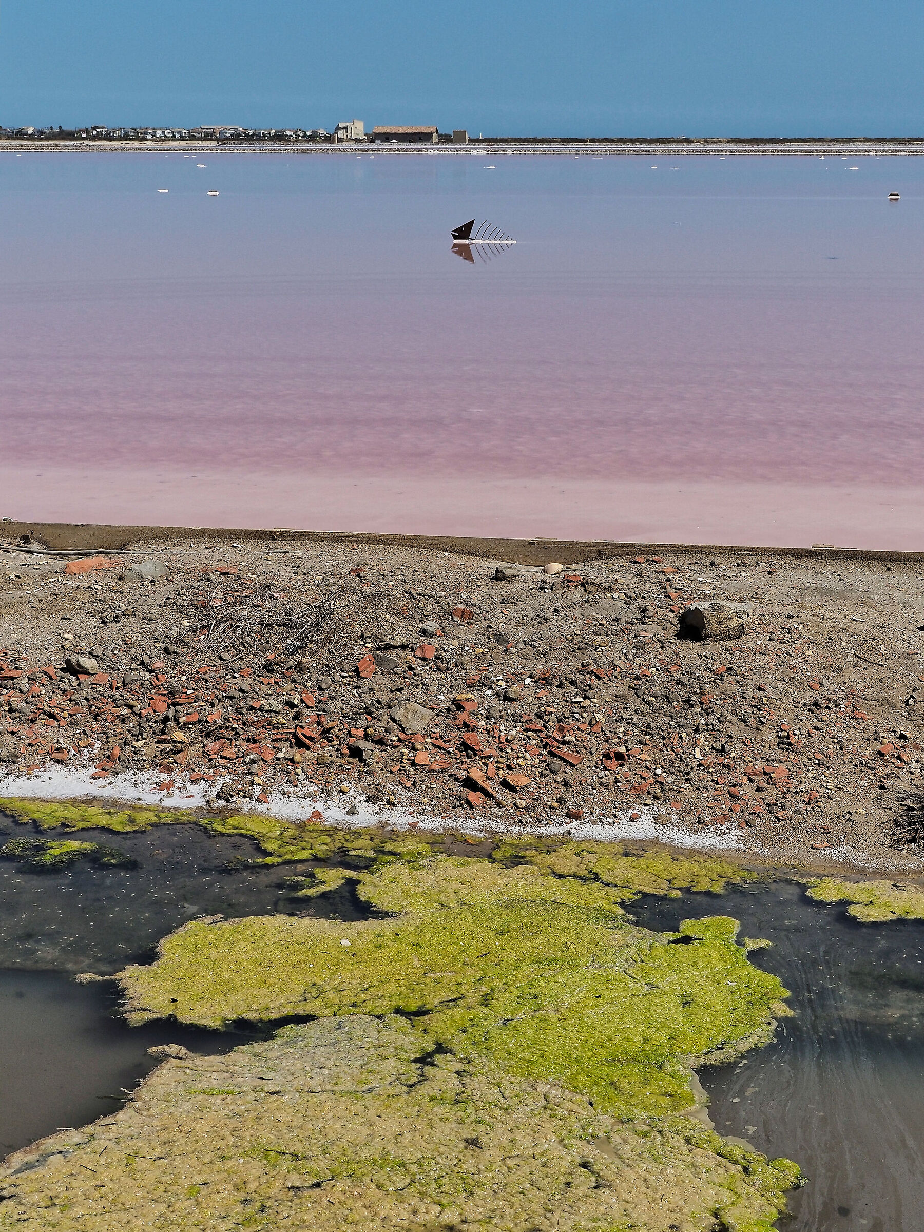 GRUISSAN_2024 (_8222060-1)