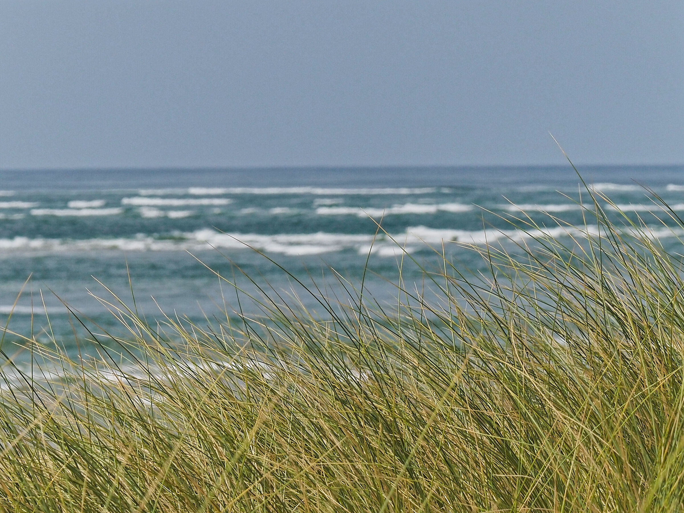 Postal Code FERRET_2024 (_8191915-1)