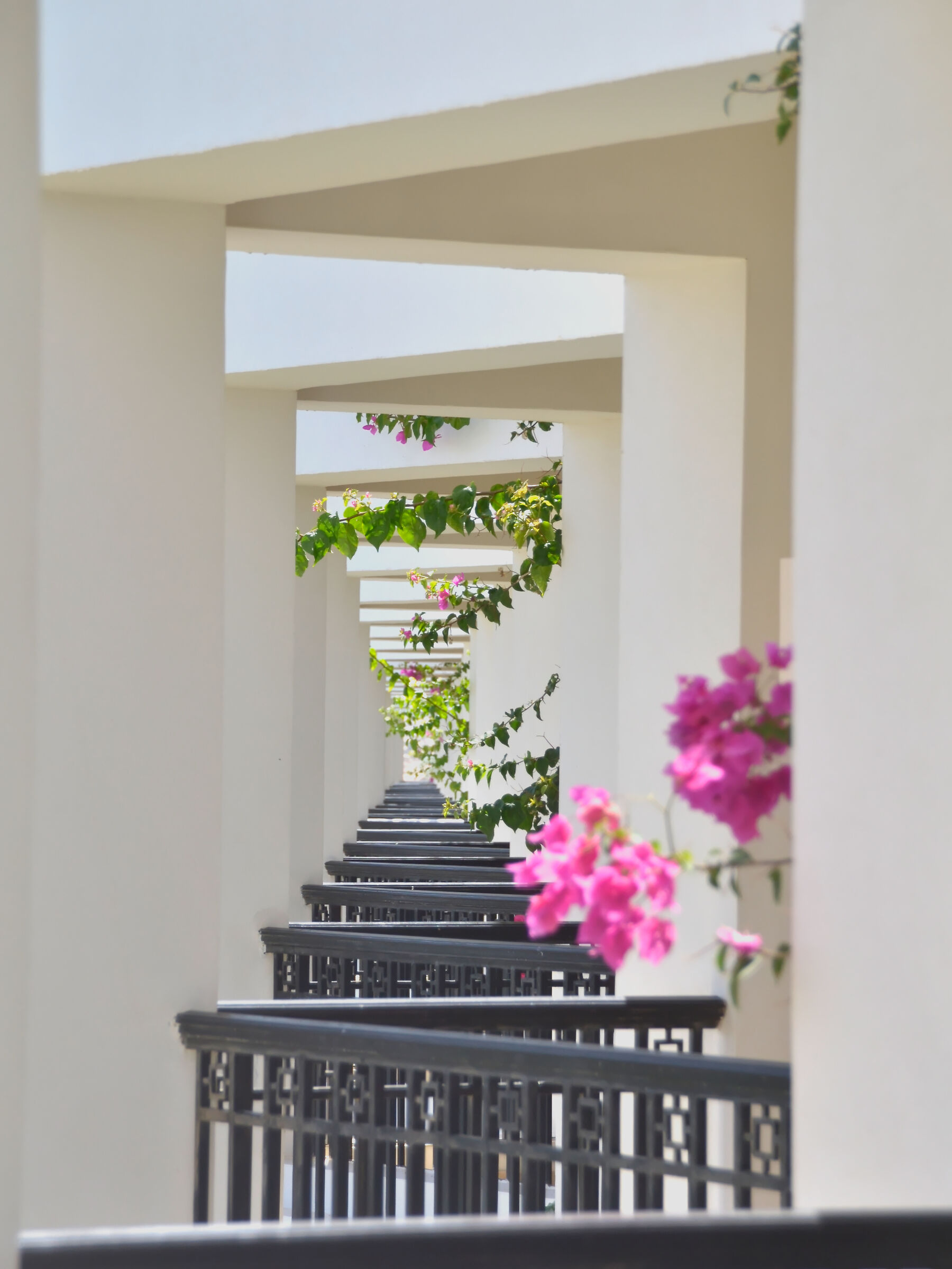 MARSA MATRUH_2014 (_DSC3550-1)