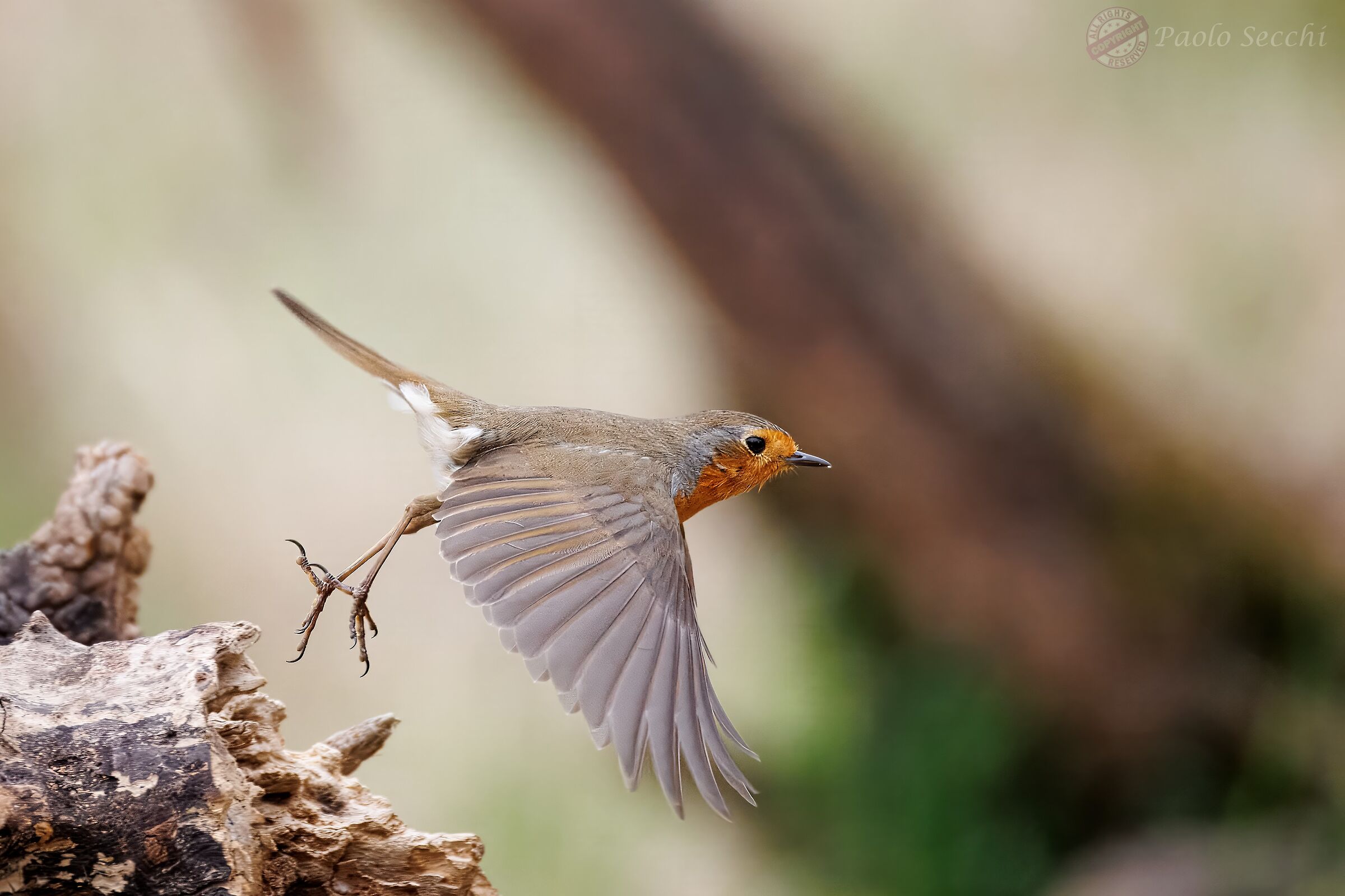 Towards new adventures