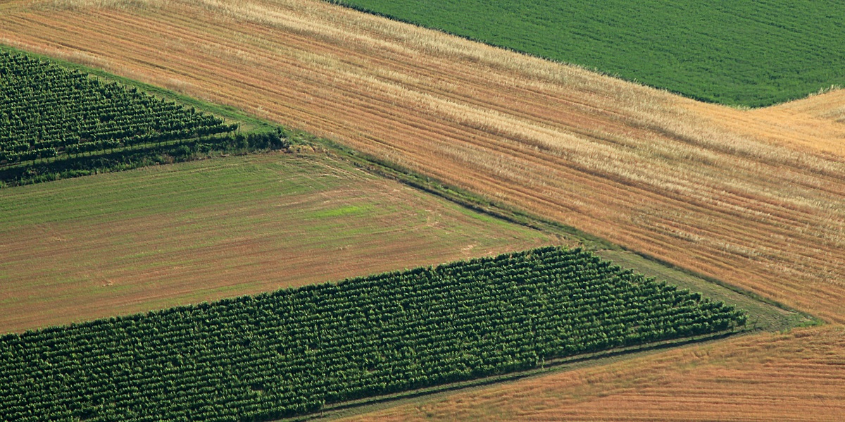 Terre di Franciacorta