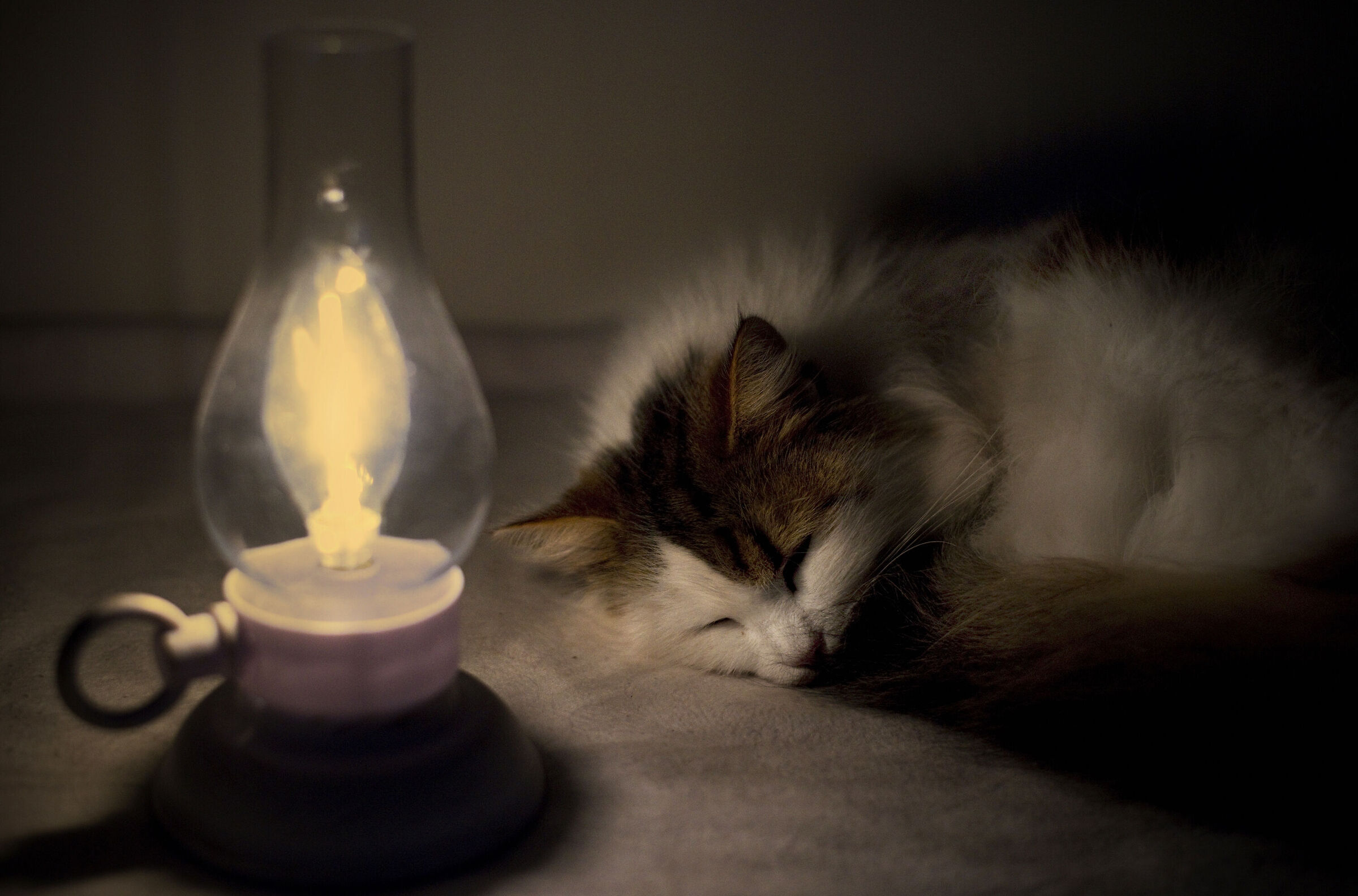 It's raining outside