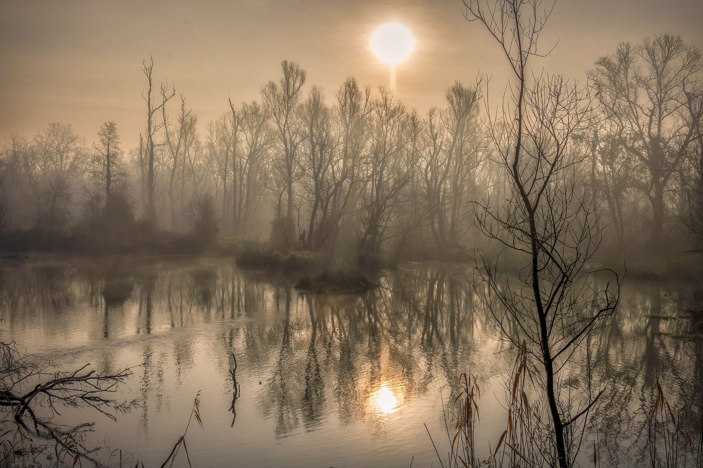 Winter oxbow