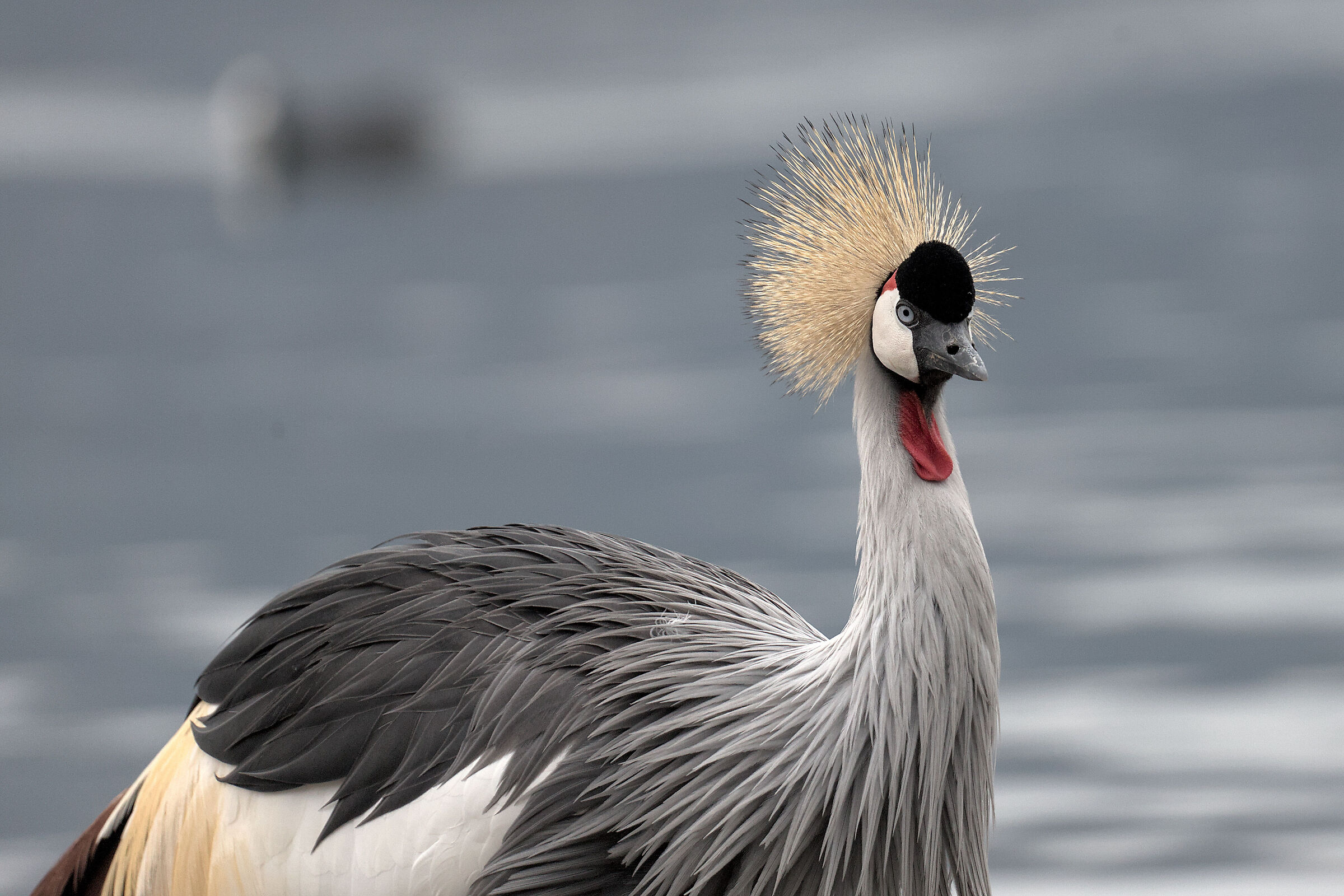 un incontro inaspettato......