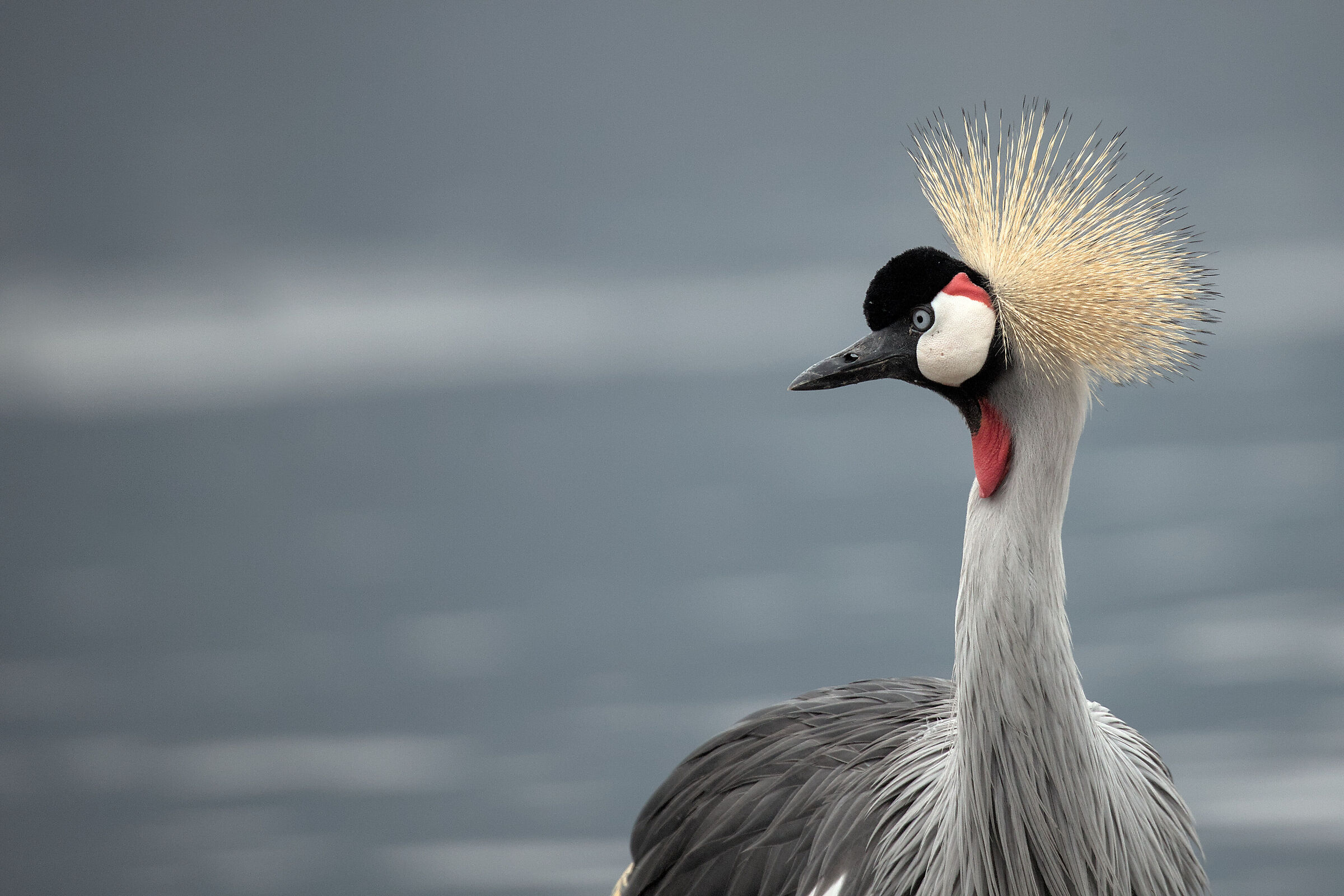 passeggiando intorno al lago Varese