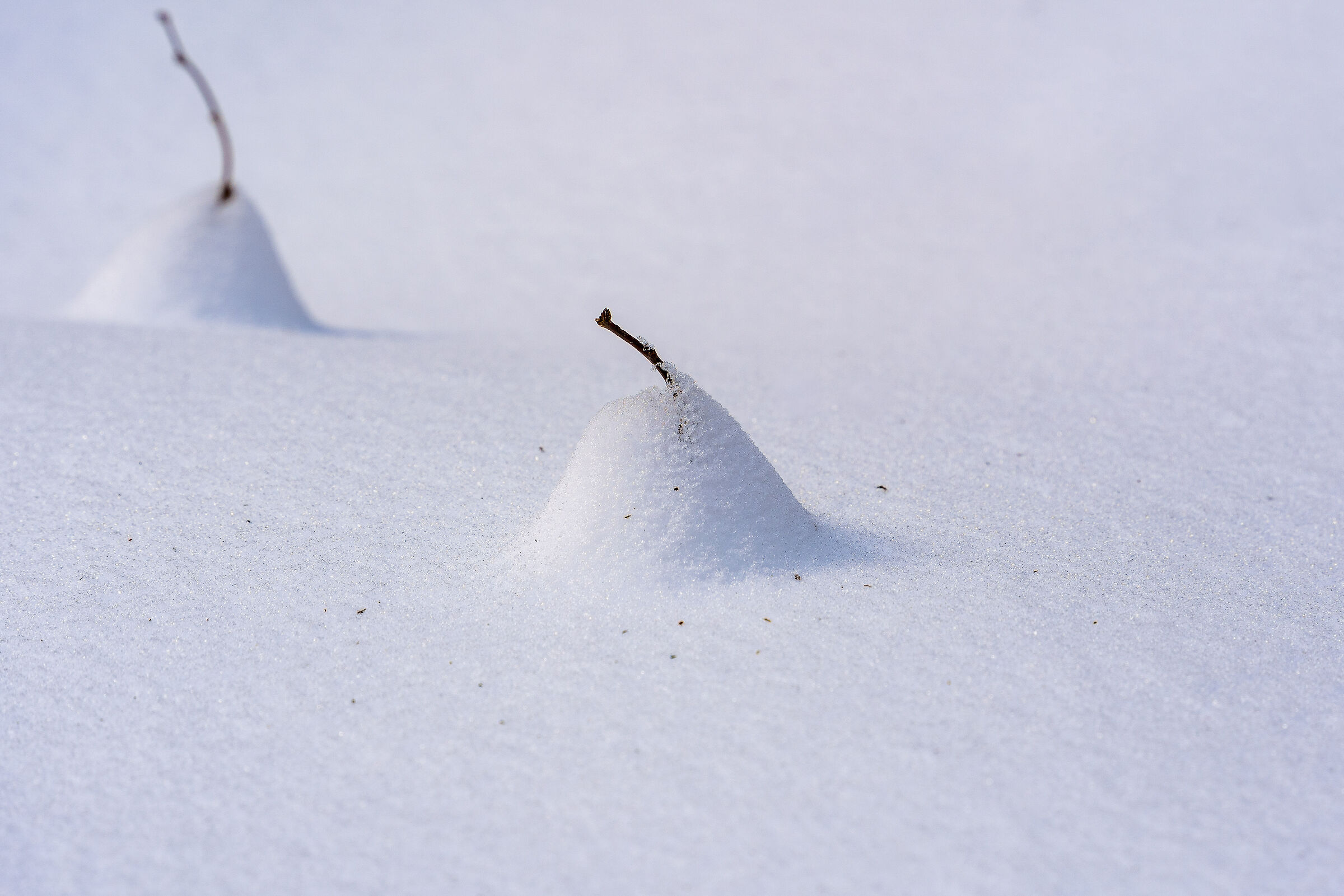 Snow cake