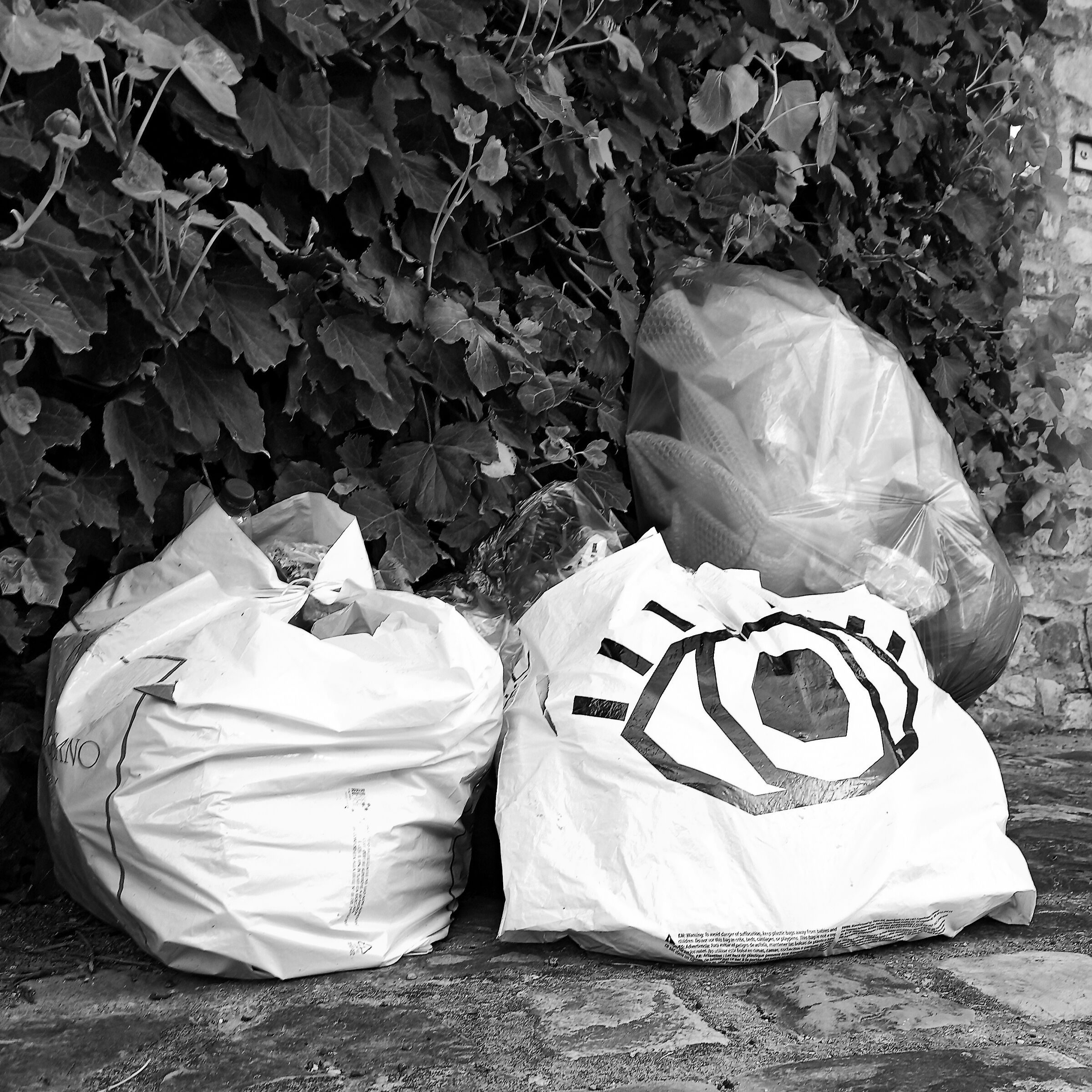 Non abbandonare i rifiuti... Ti vedo!