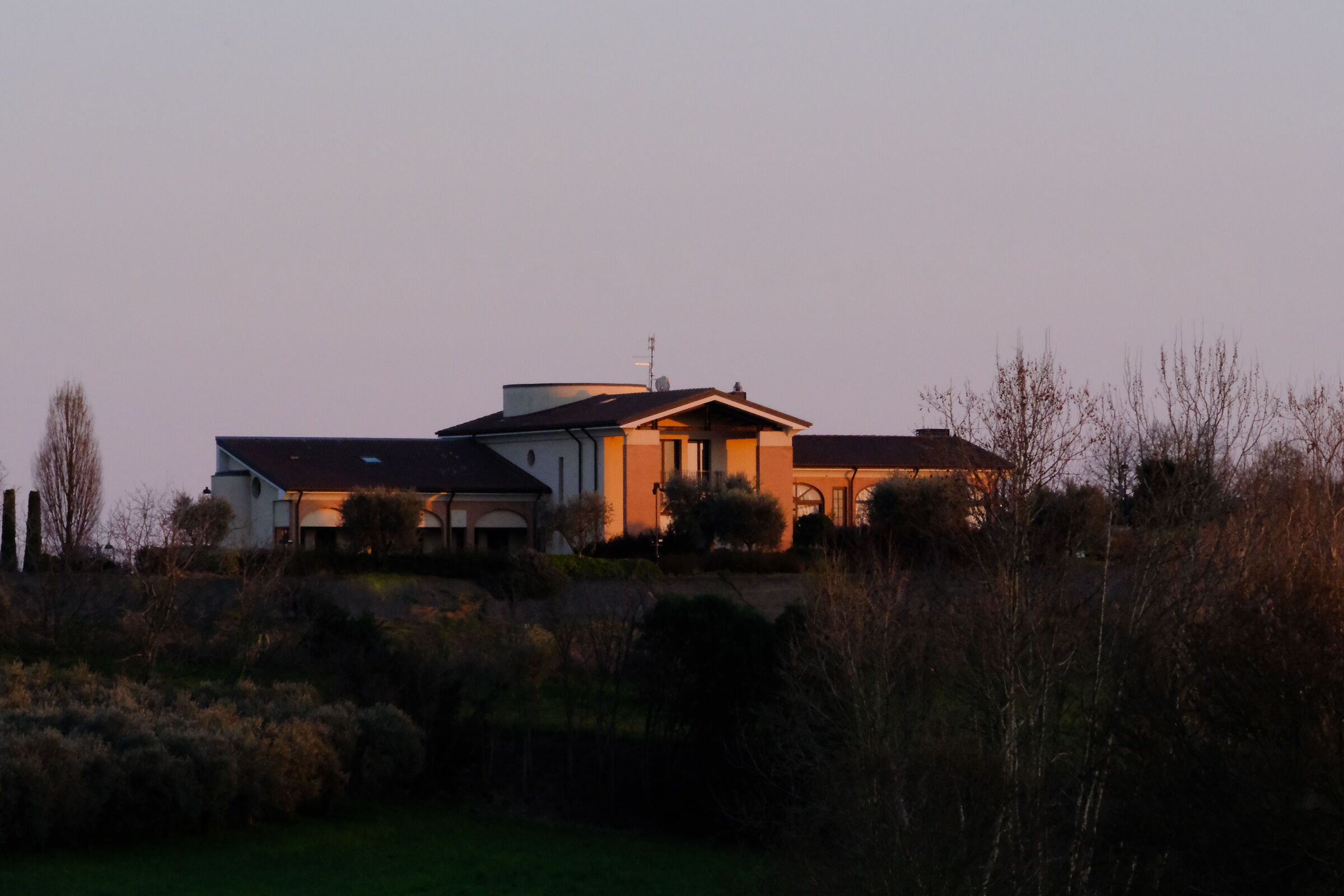 Untitled Photo