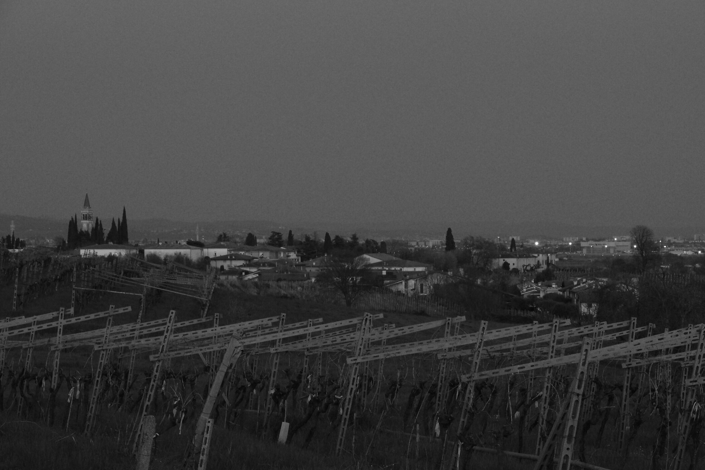 Untitled Photo