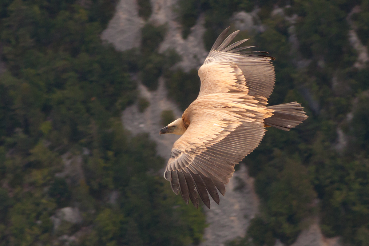 Let's see who is better