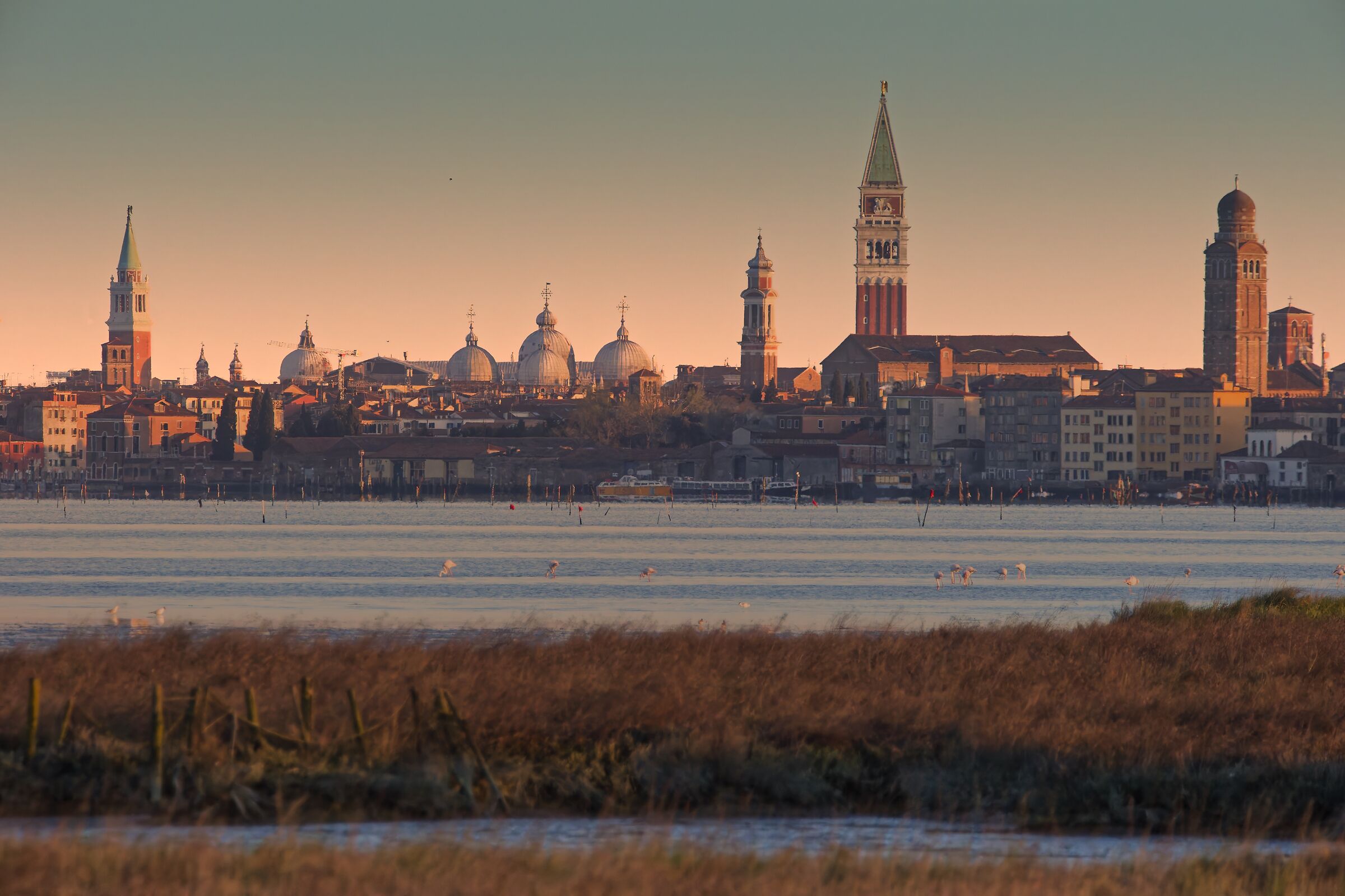 From the salt marsh to Venice