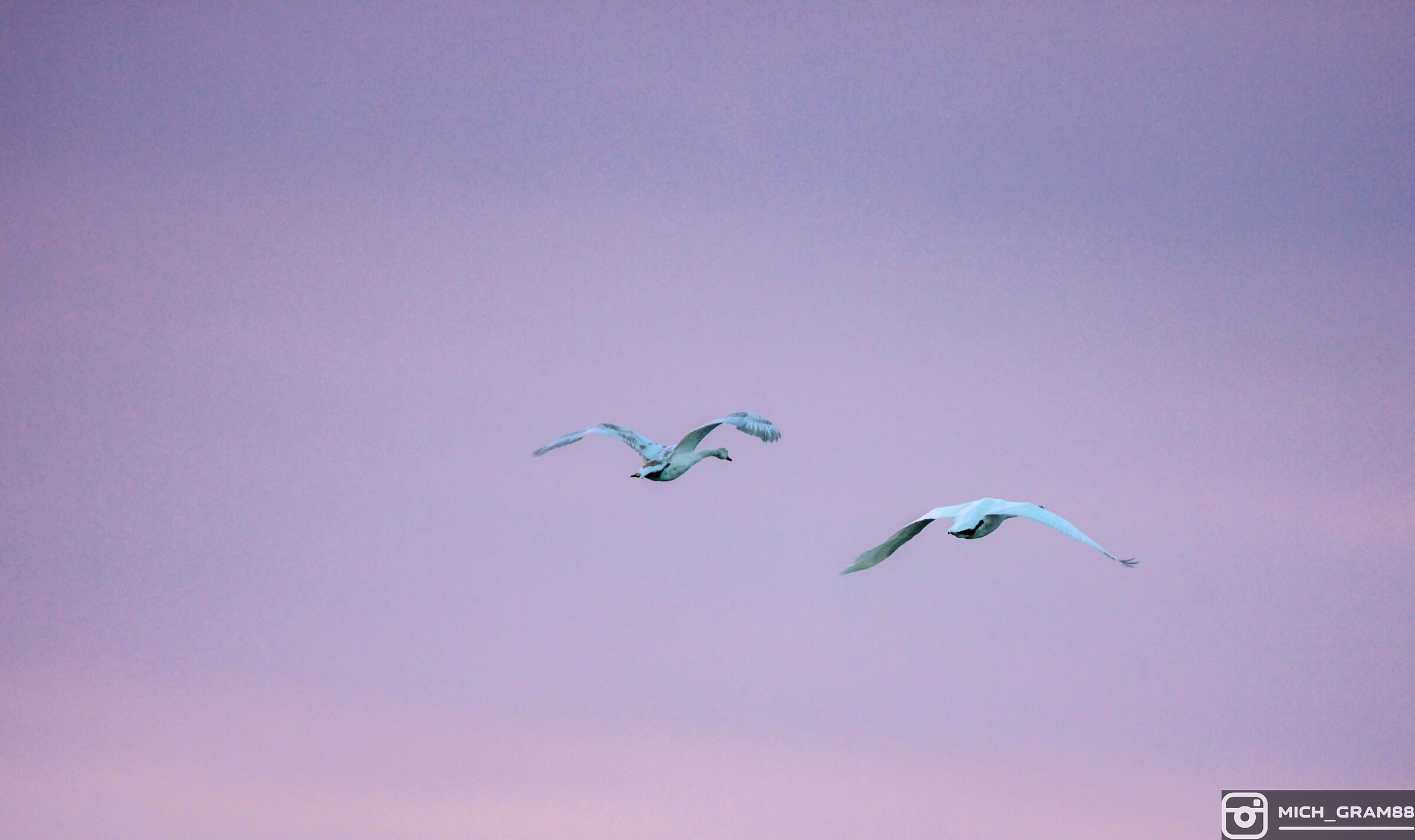 Untitled Photo