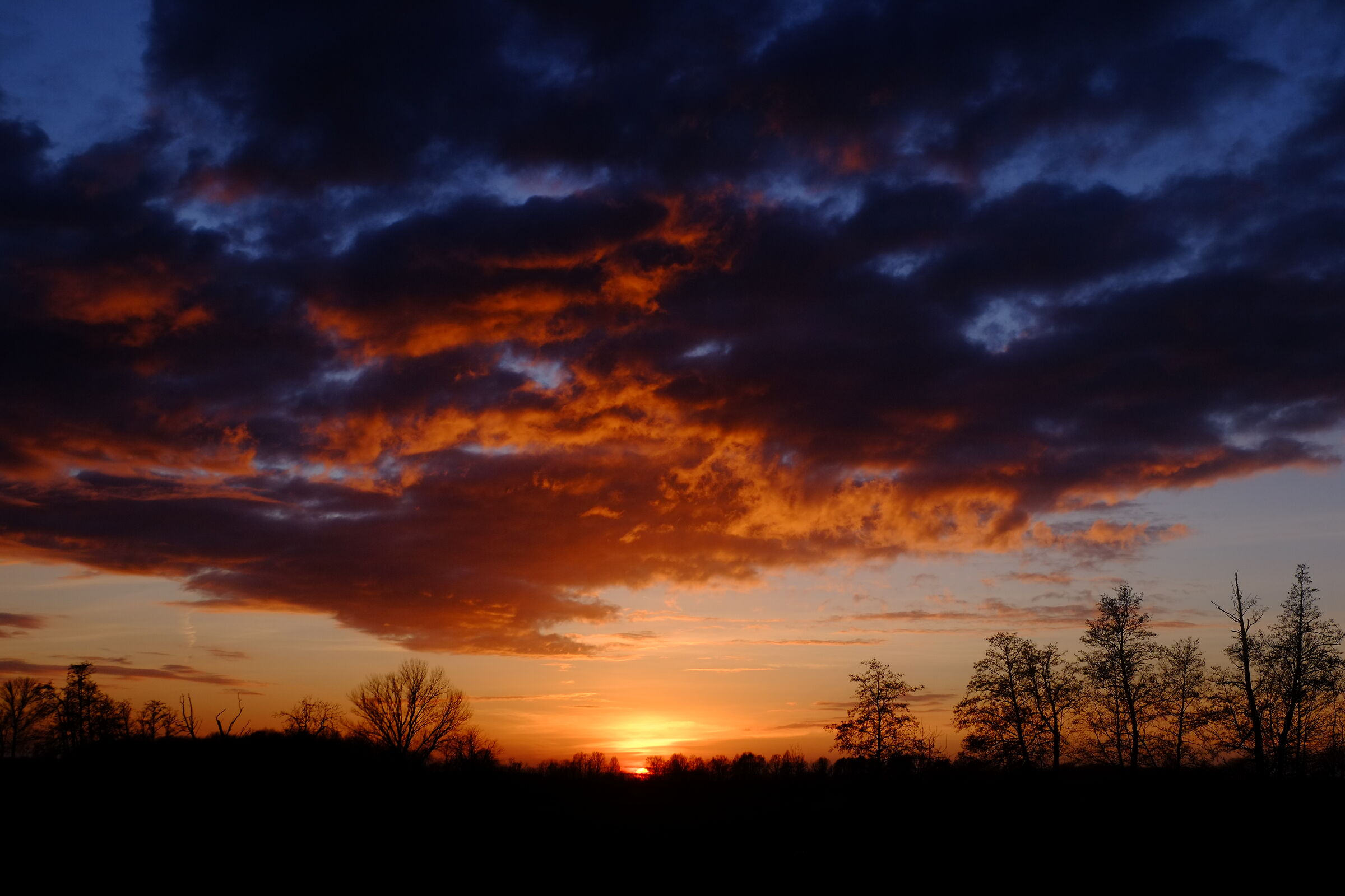 Tramonto pavese di fine gennaio 2025