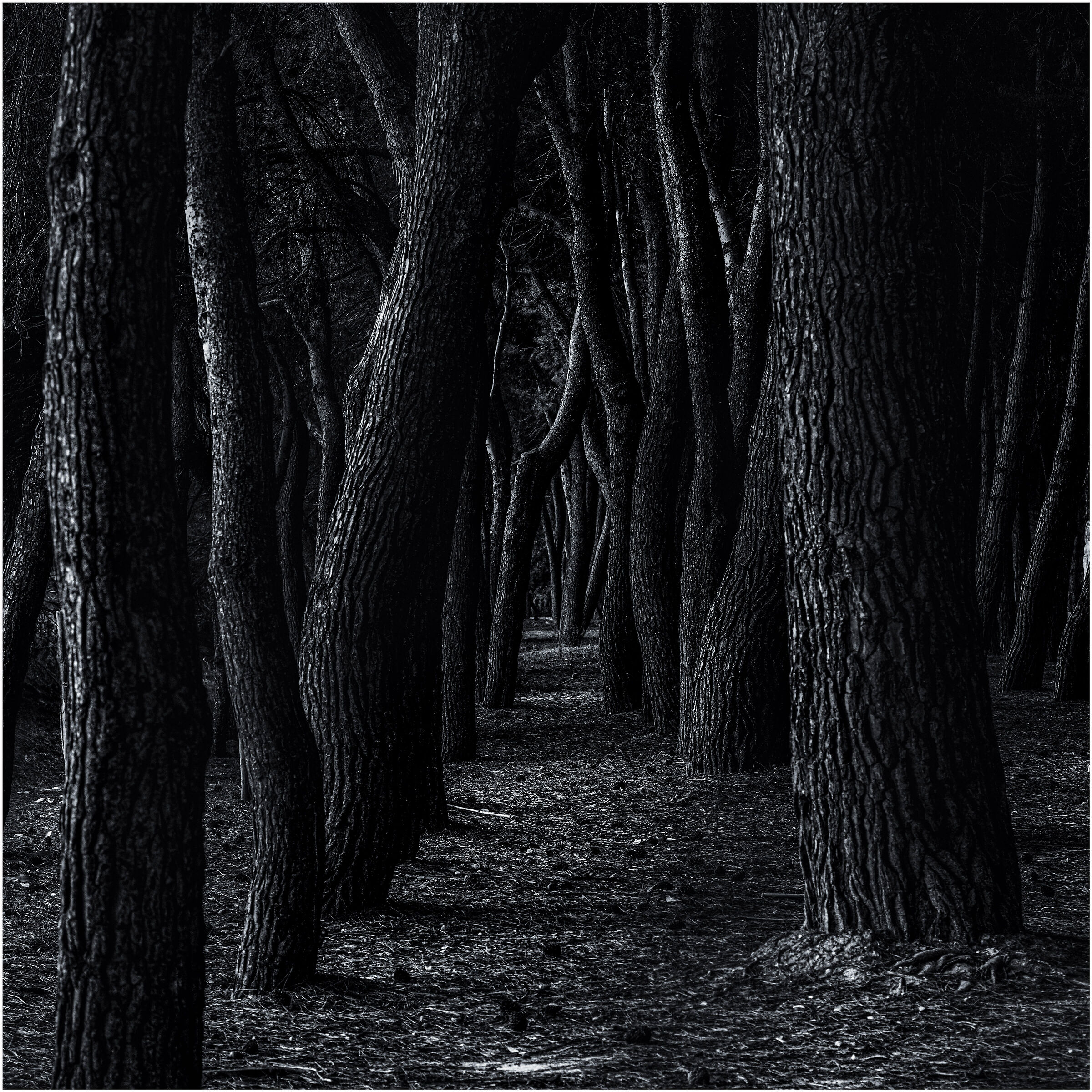 Ispirandomi impropriamente a Michael Kenna