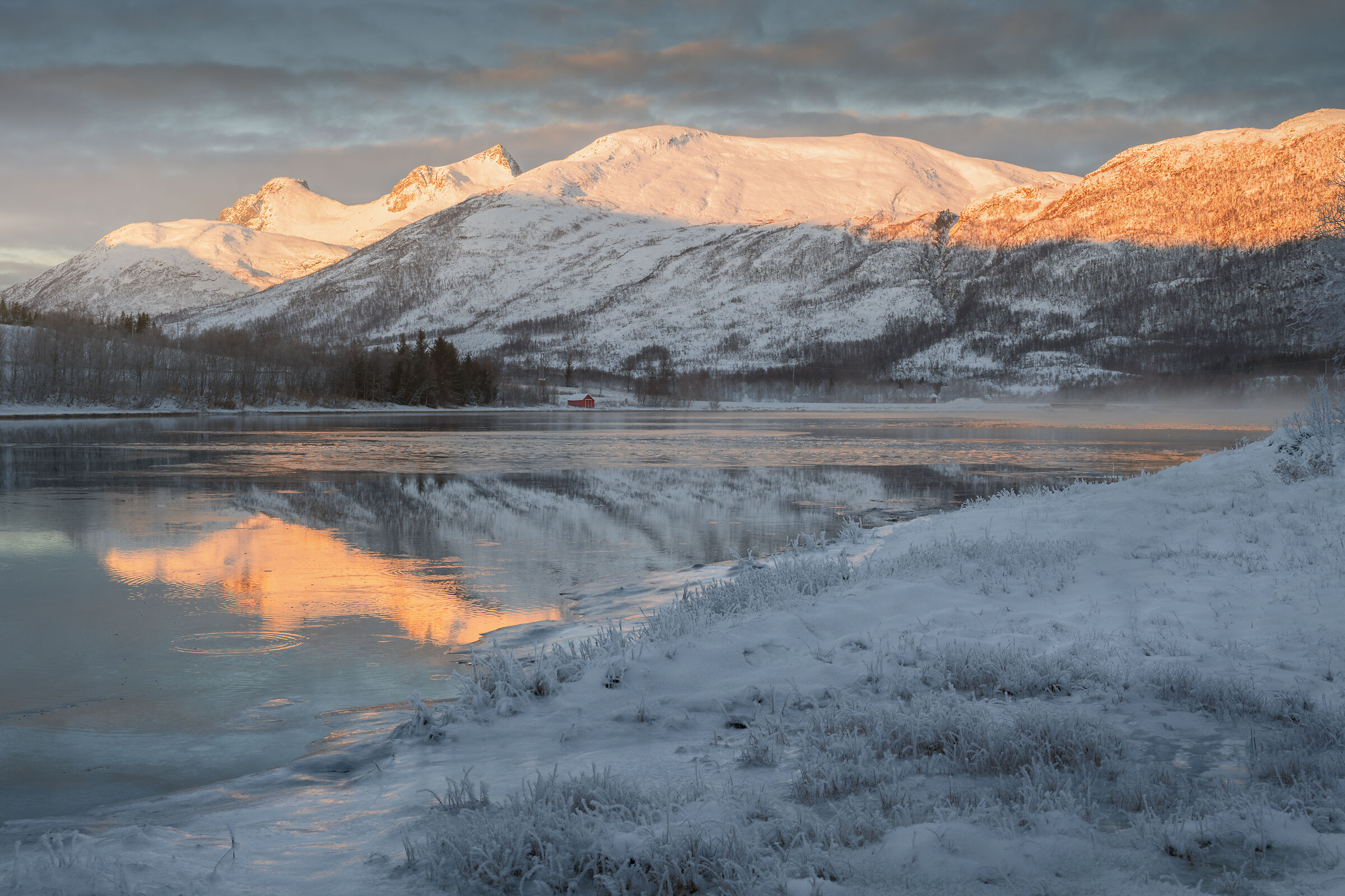 In the cold of the North