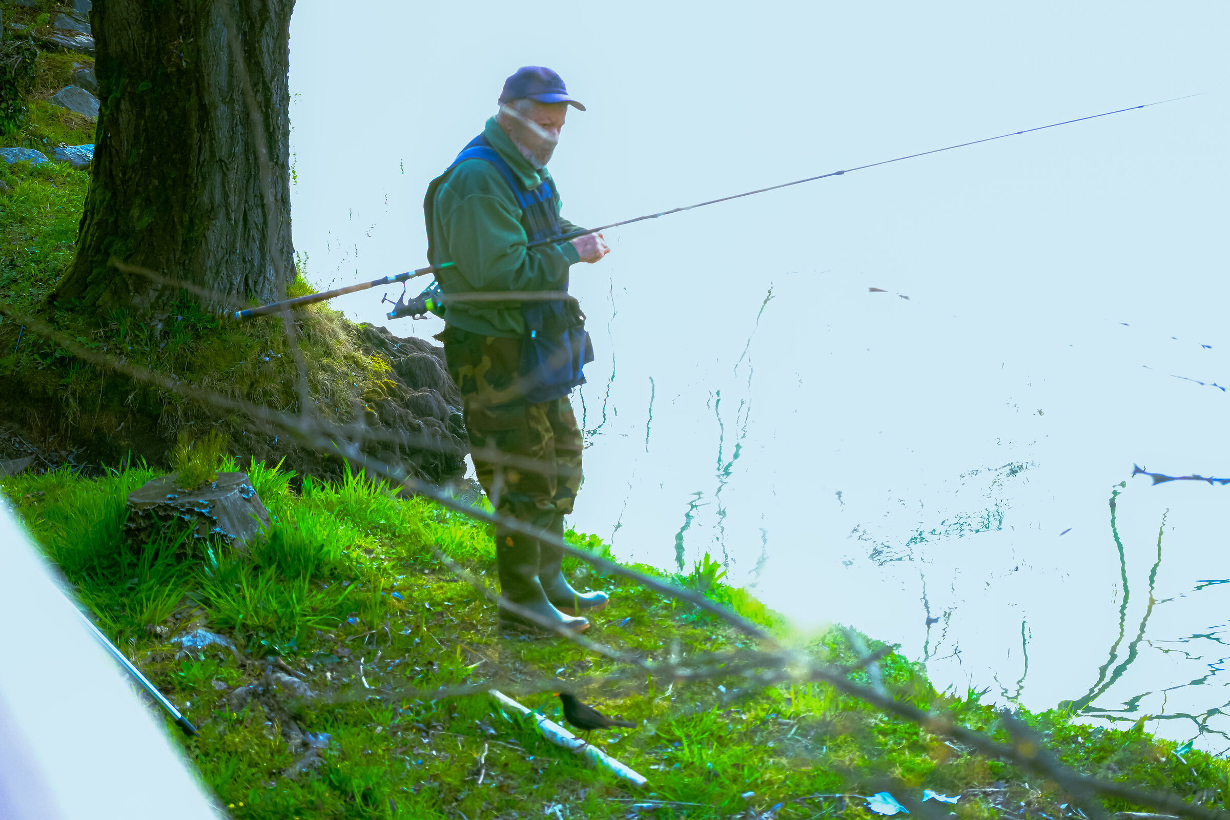 The Blackbird and the Fisherman