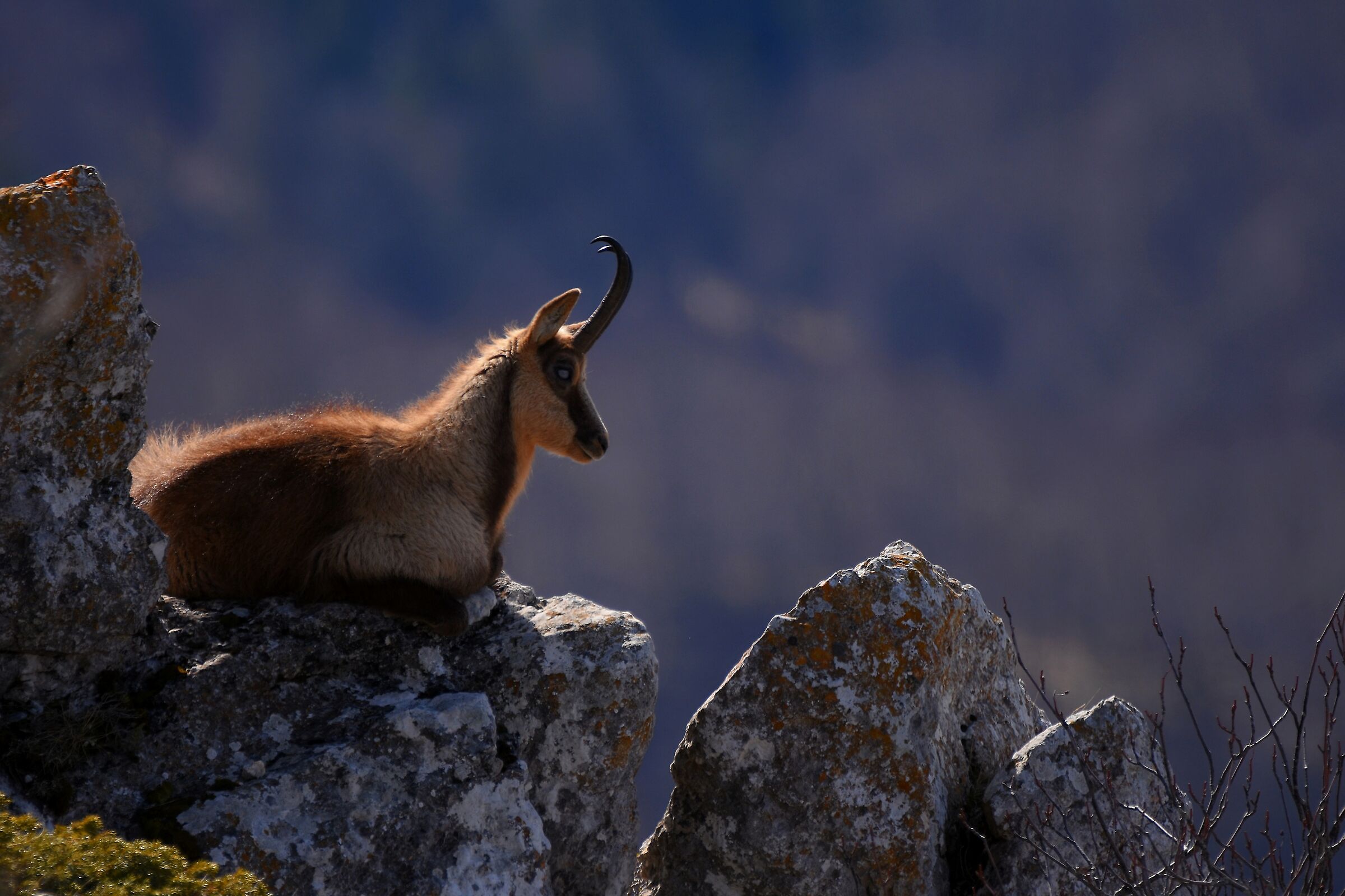 Mi rilasso un pò...