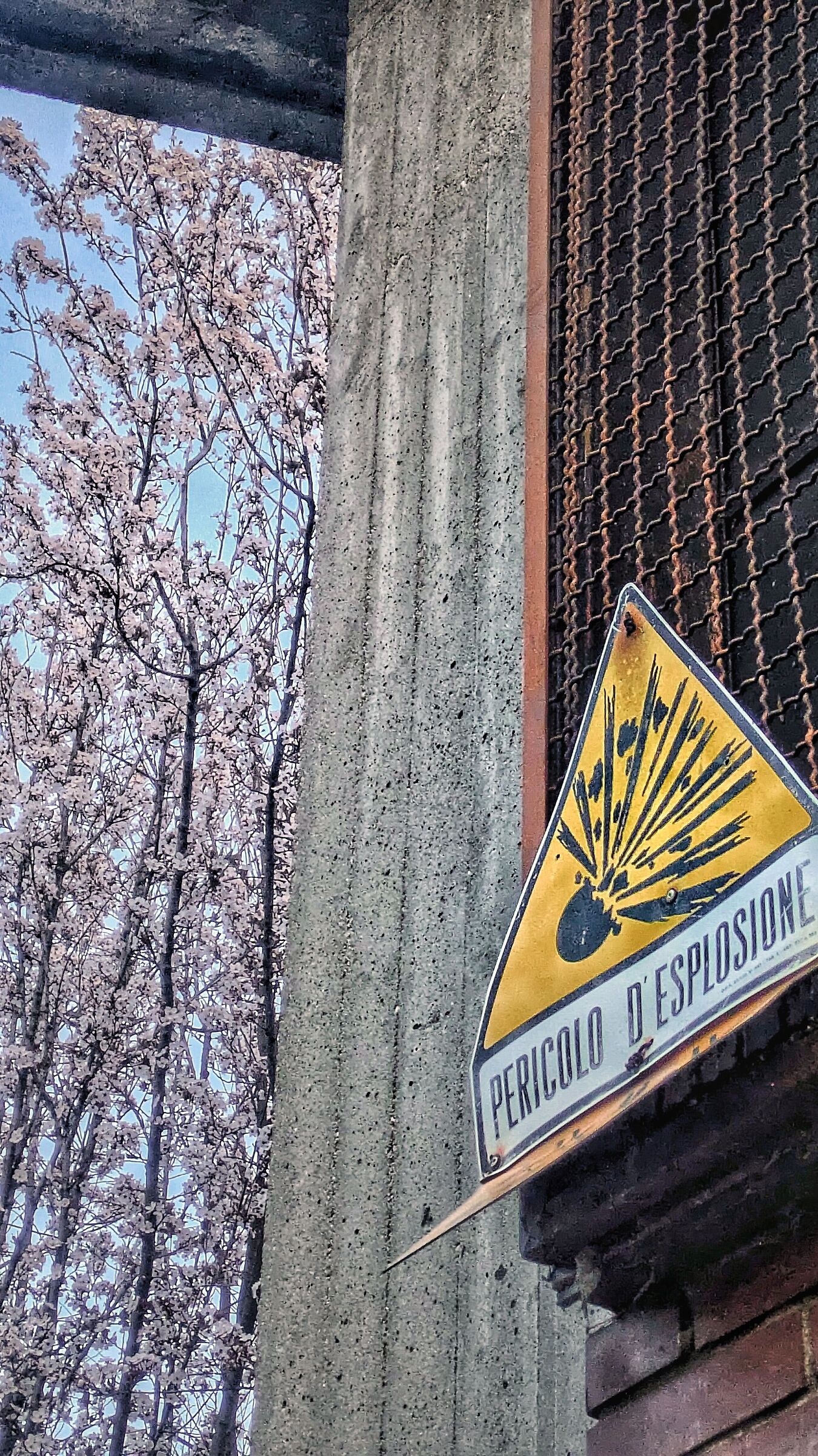 Spring has exploded