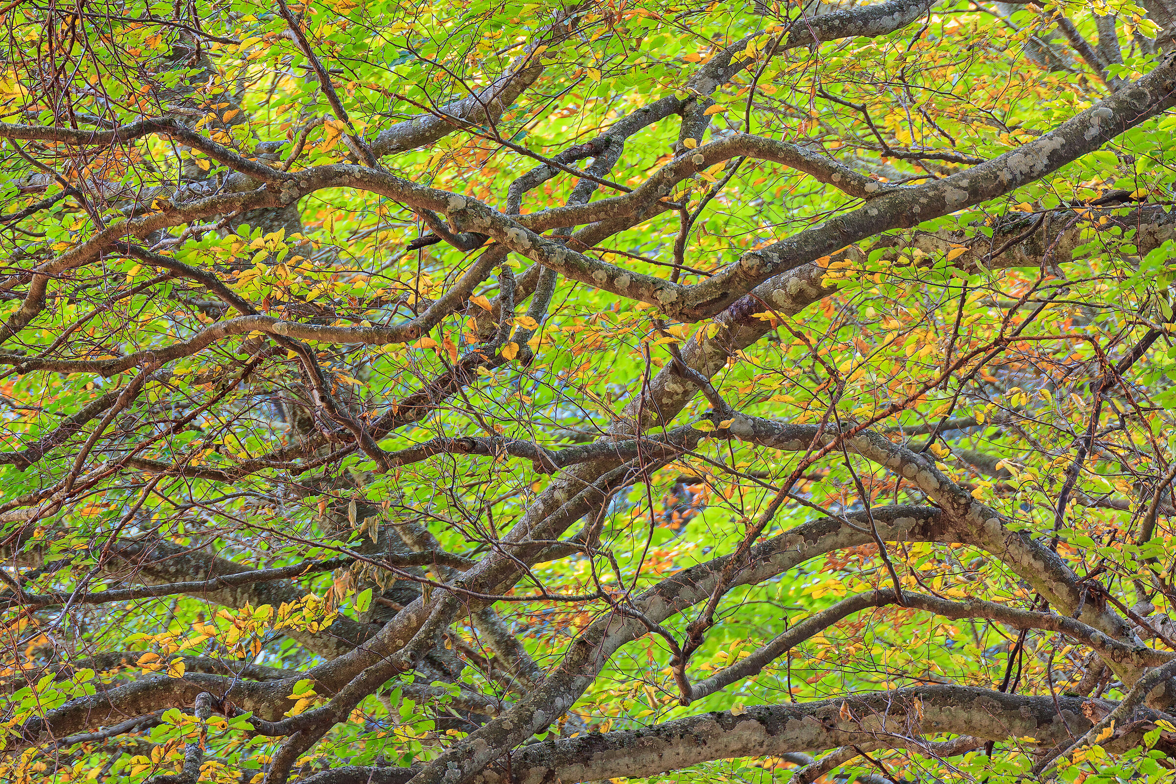 La teoria delle stringhe