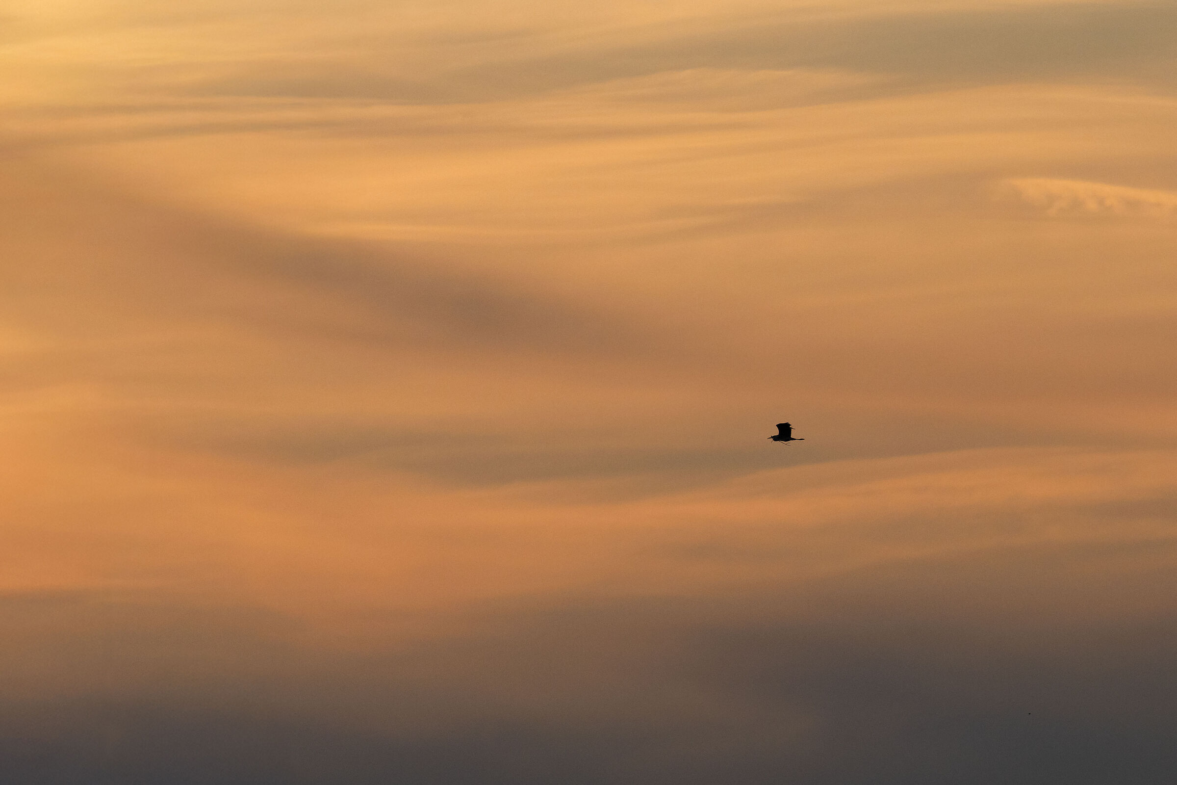 Minimal Heron