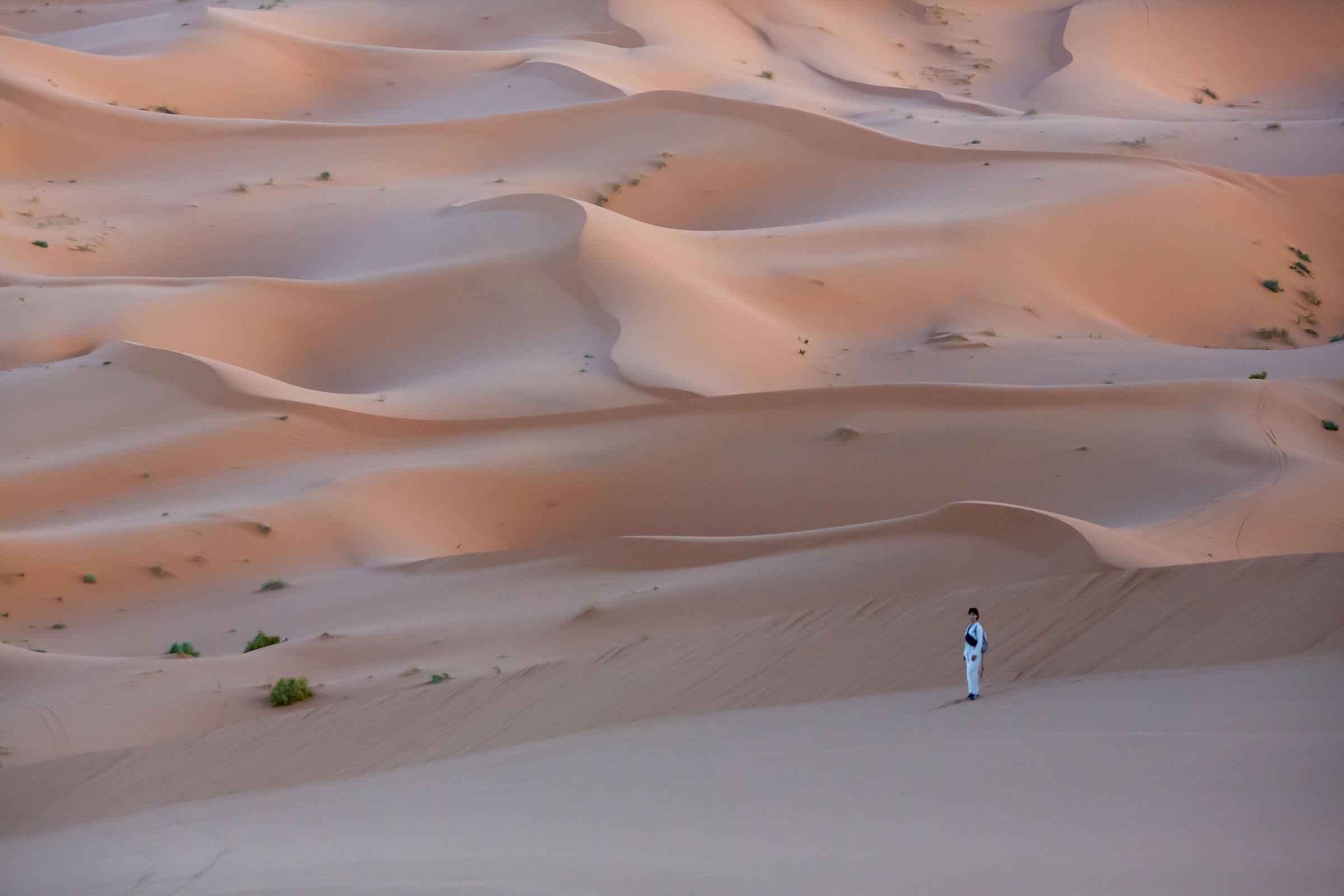 Untitled Photo